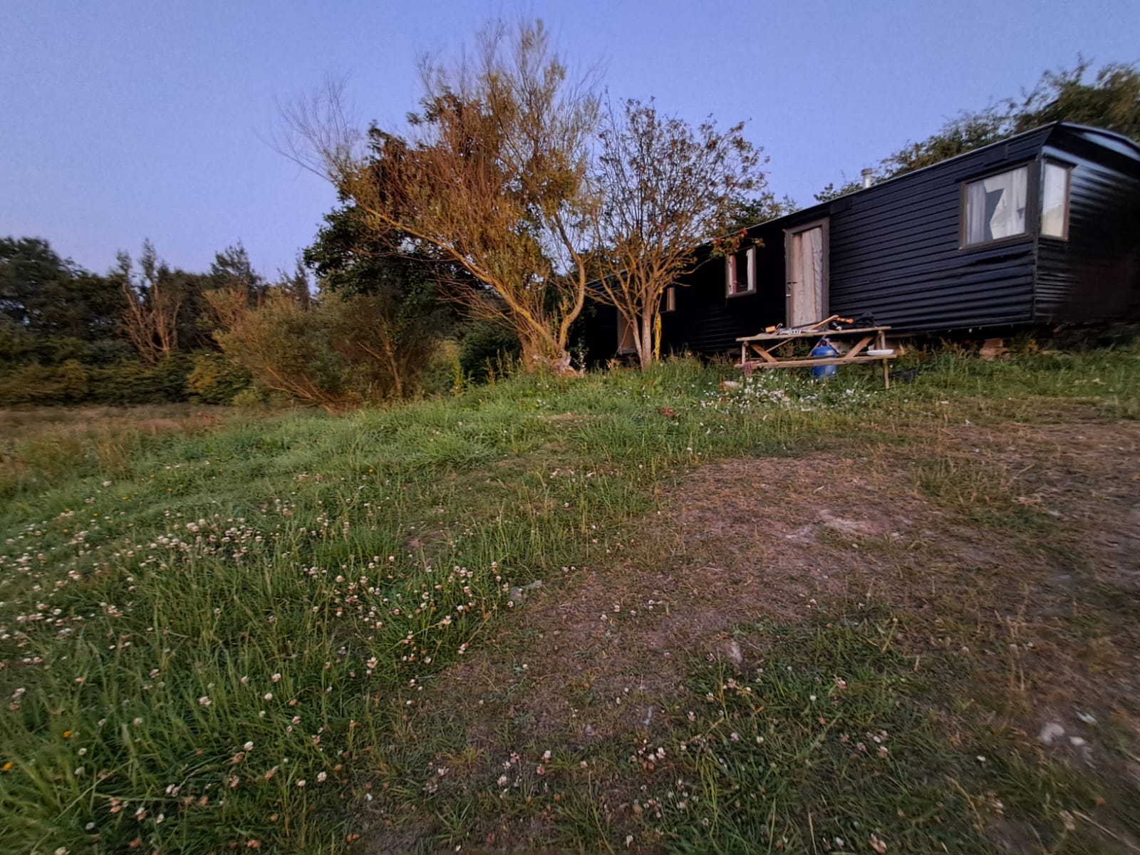 Sunnyhill farm