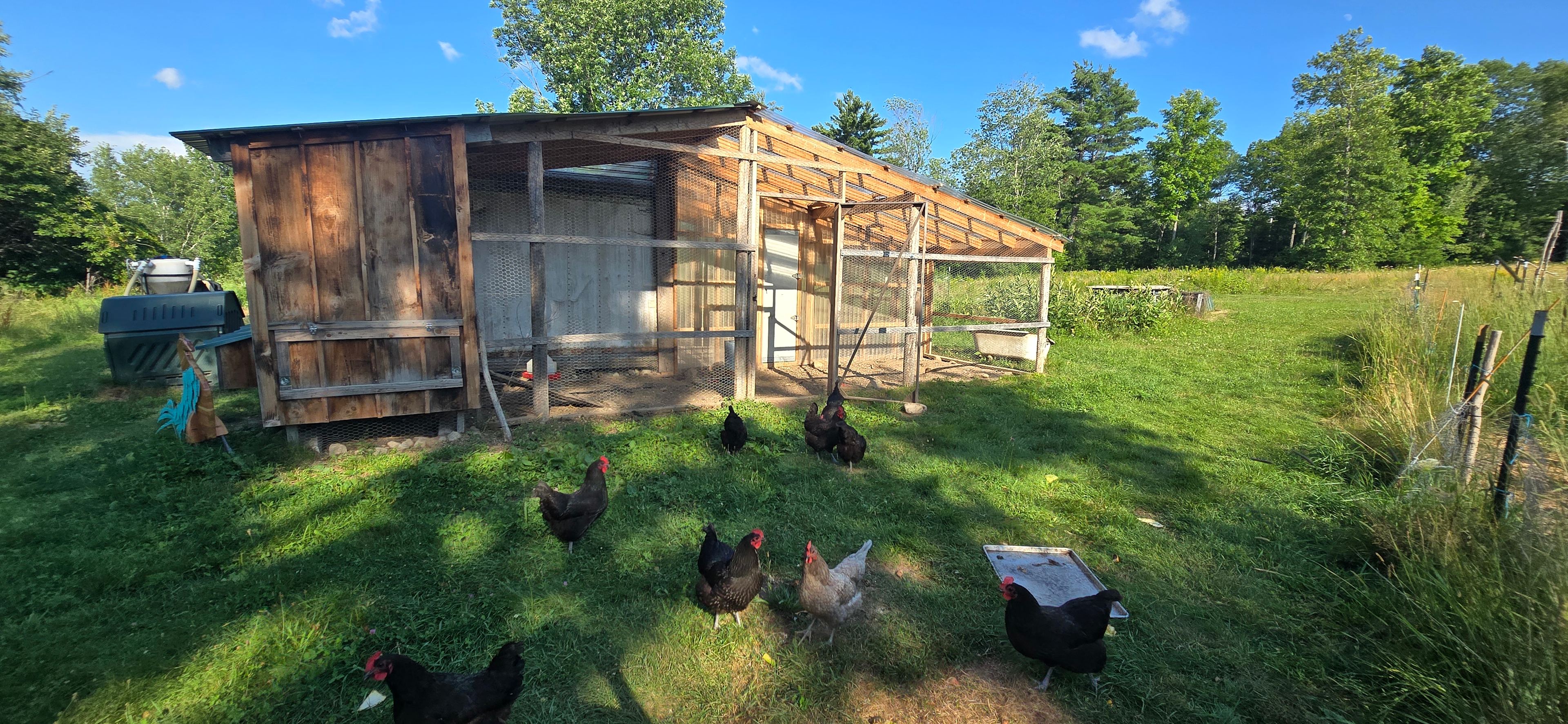 Jamberry Farm