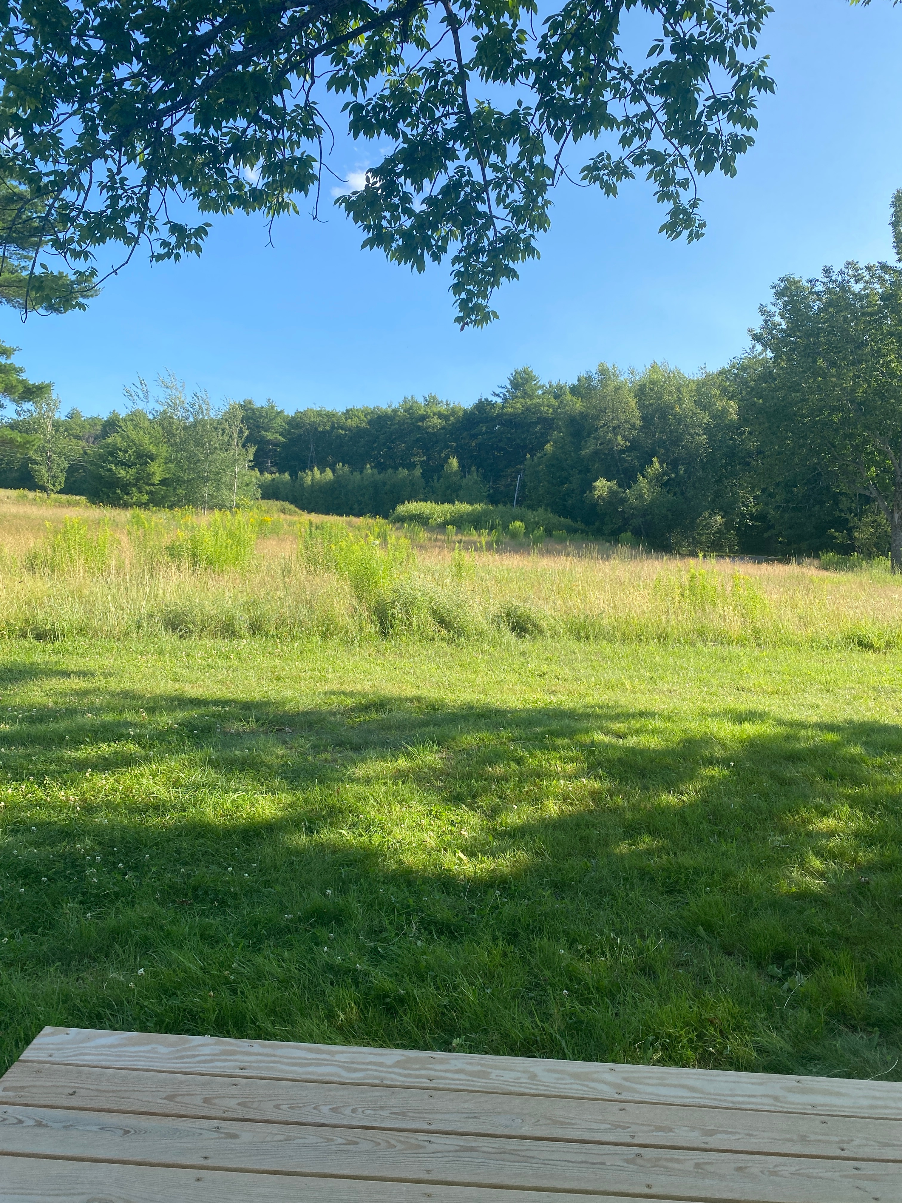 Jamberry Farm