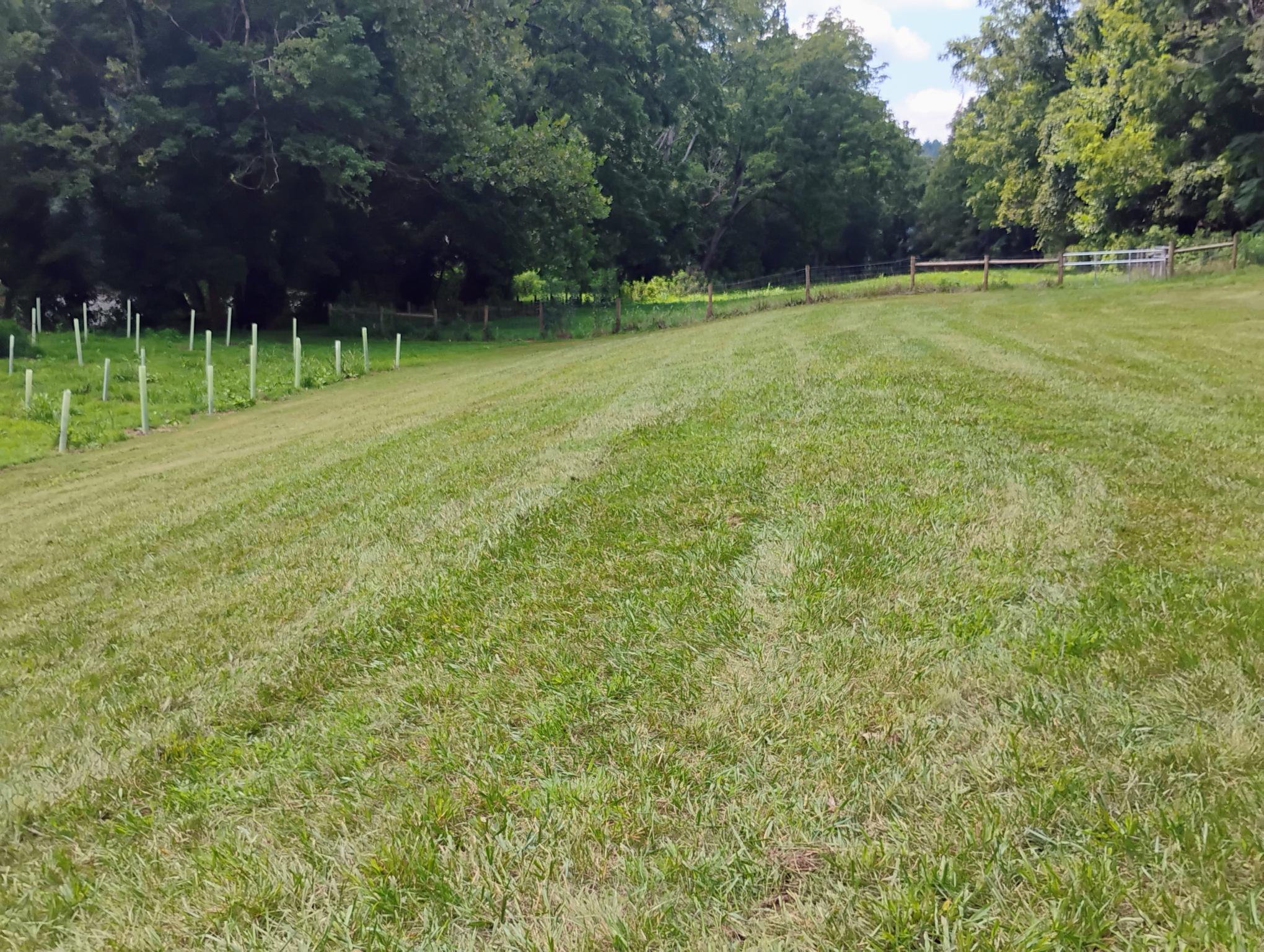 Slope of camping field between upper portion and riparian buffer. River is to the left. Gravel drive is to the right and begins adjacent to metal farm gate.