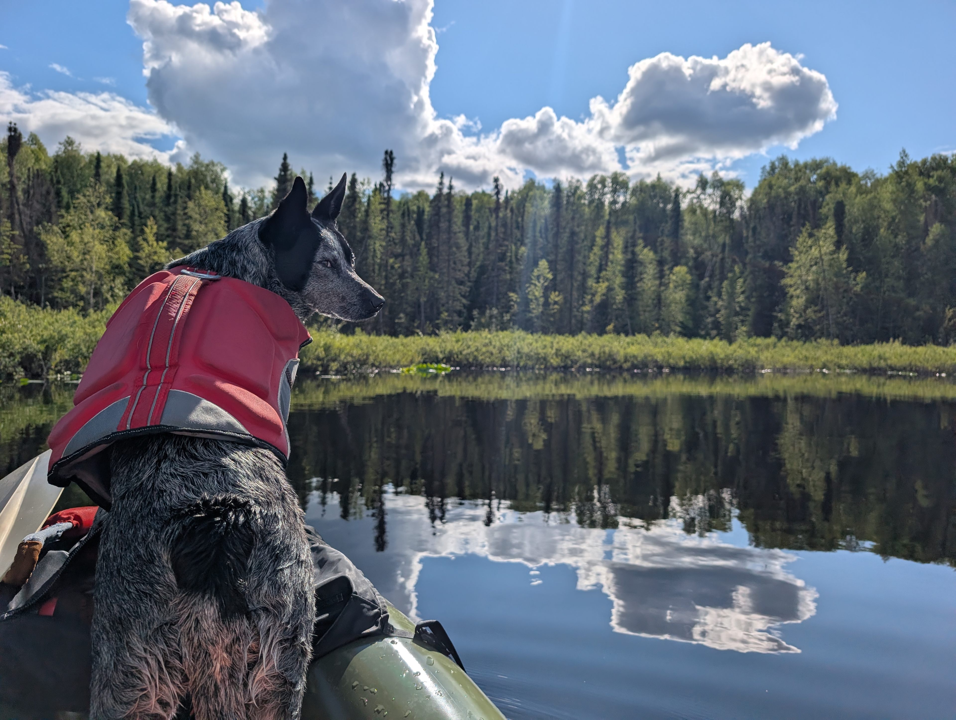 Fish Lake Landing Dry RV Talkeetna