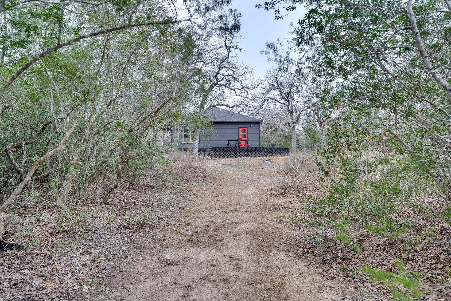 Cabin & Campsite in the woods