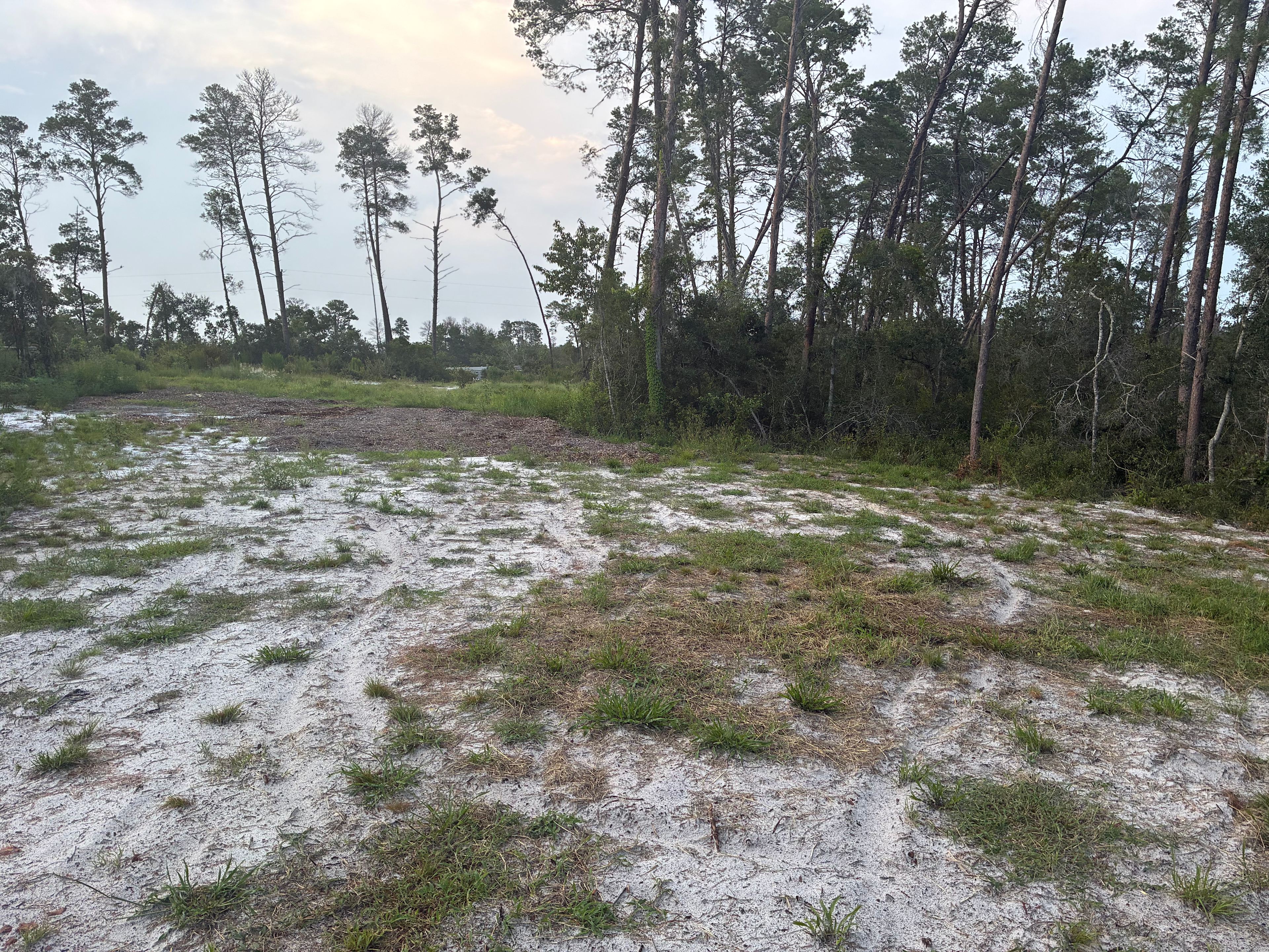 Weeki wachee hills treasure