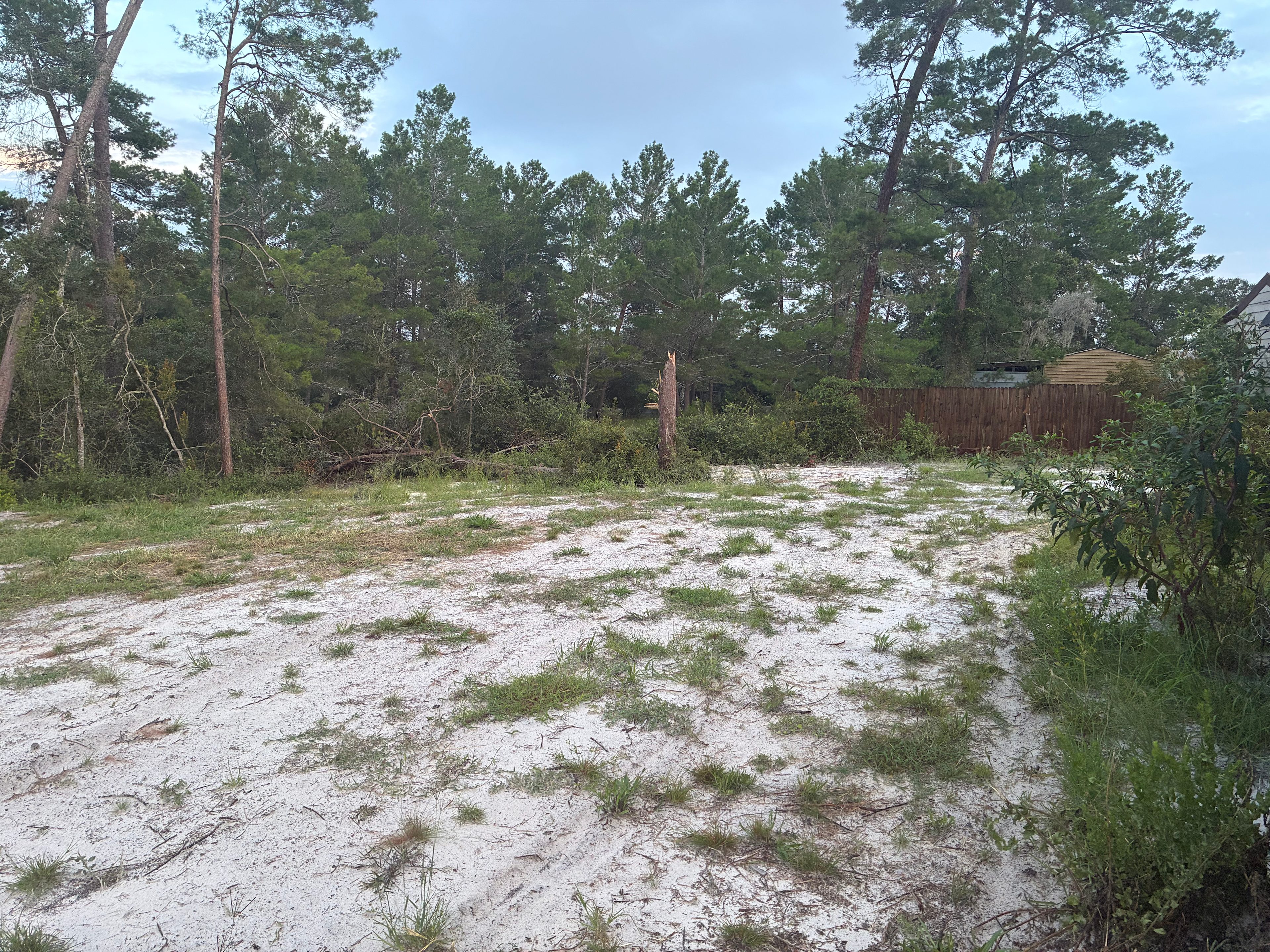 Weeki wachee hills treasure