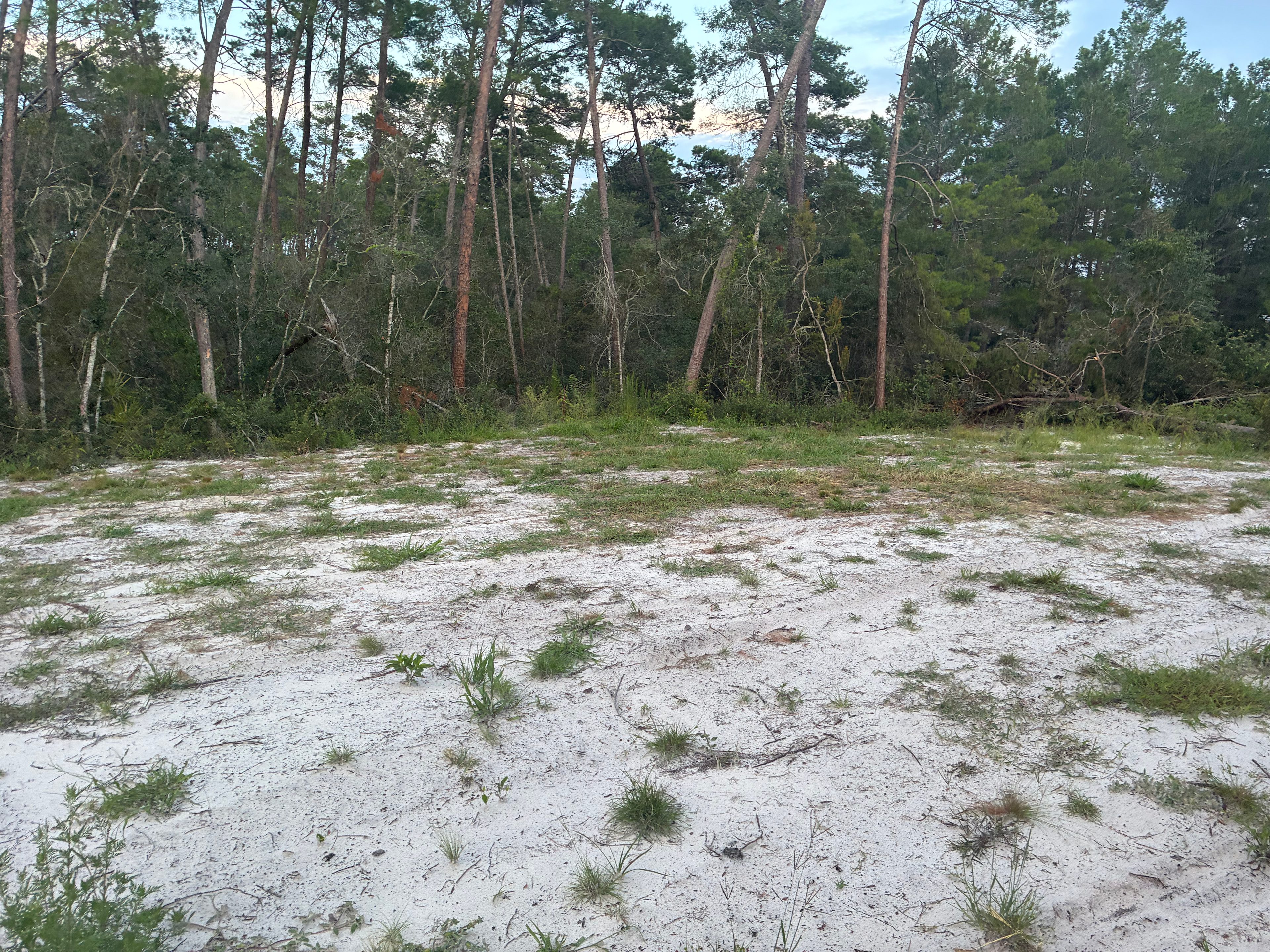 Weeki Wachee Hills Treasure