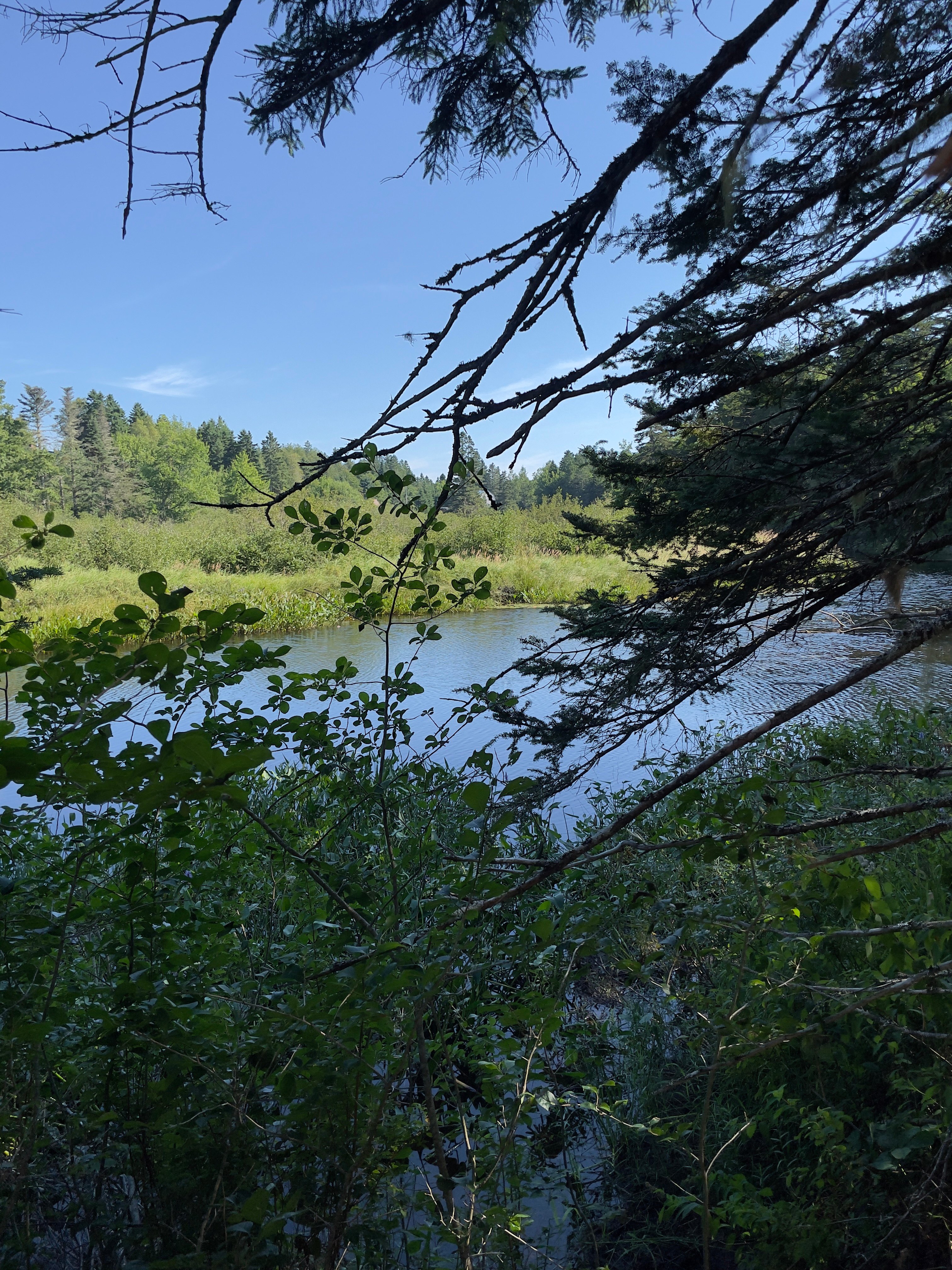 Orange River Campground