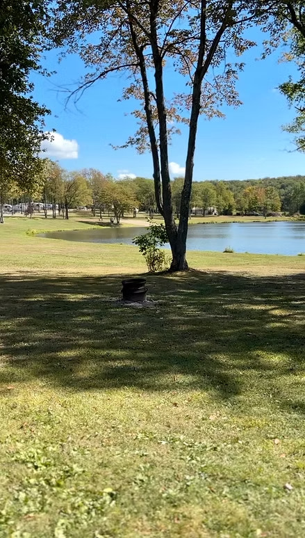 Tanglewood Camping
