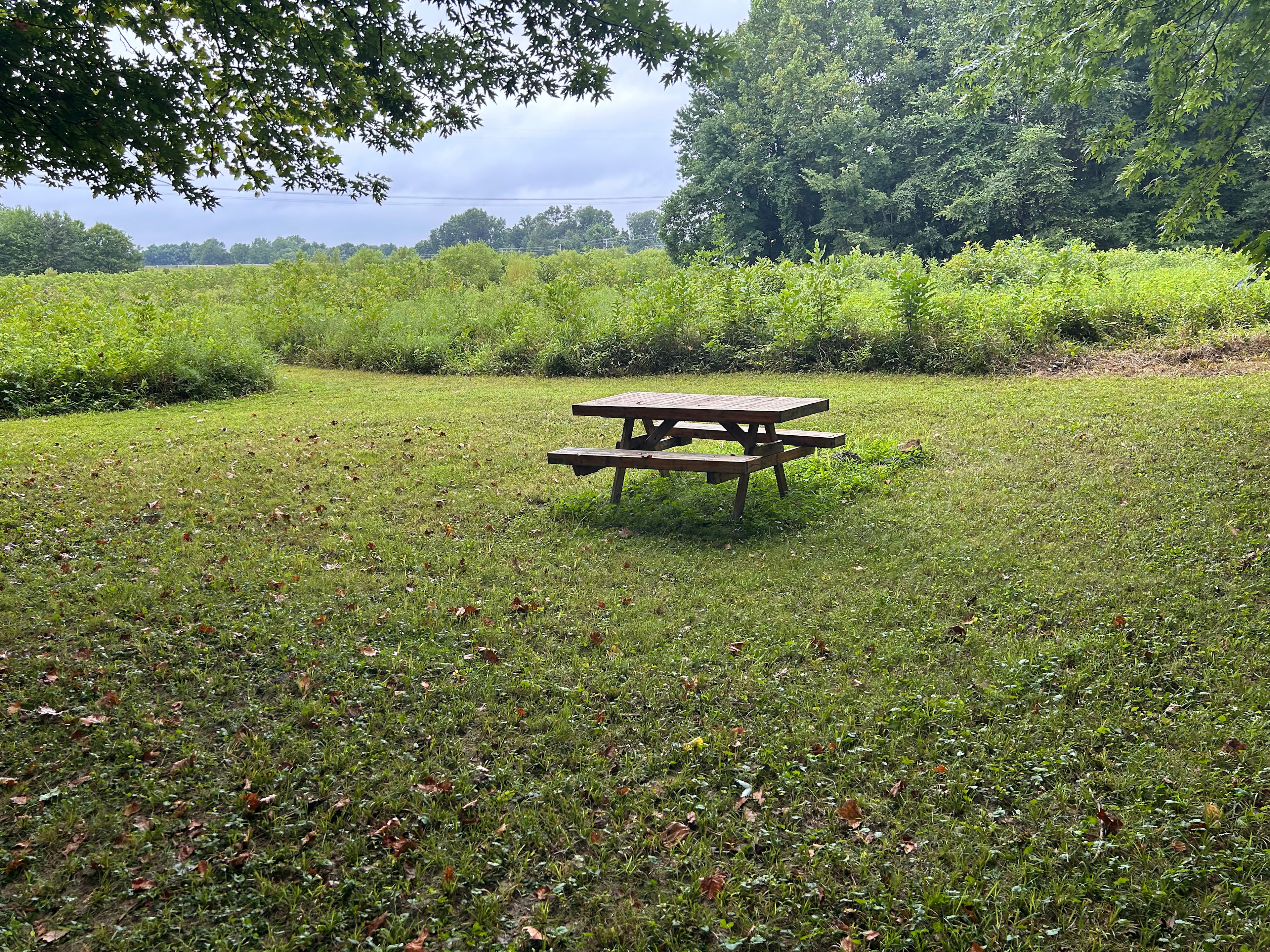 Nate’s Creekside campground