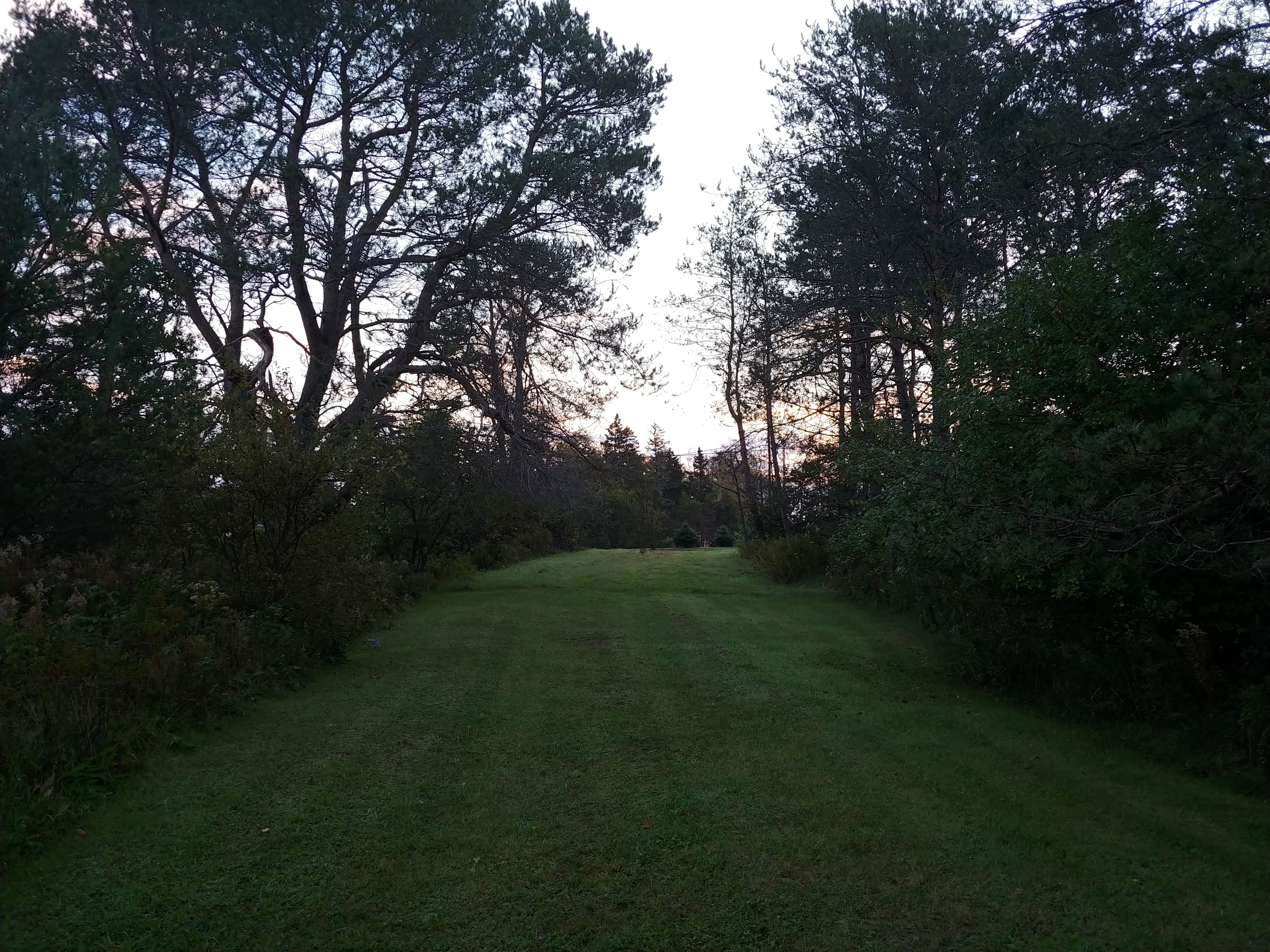 Sunset Hill