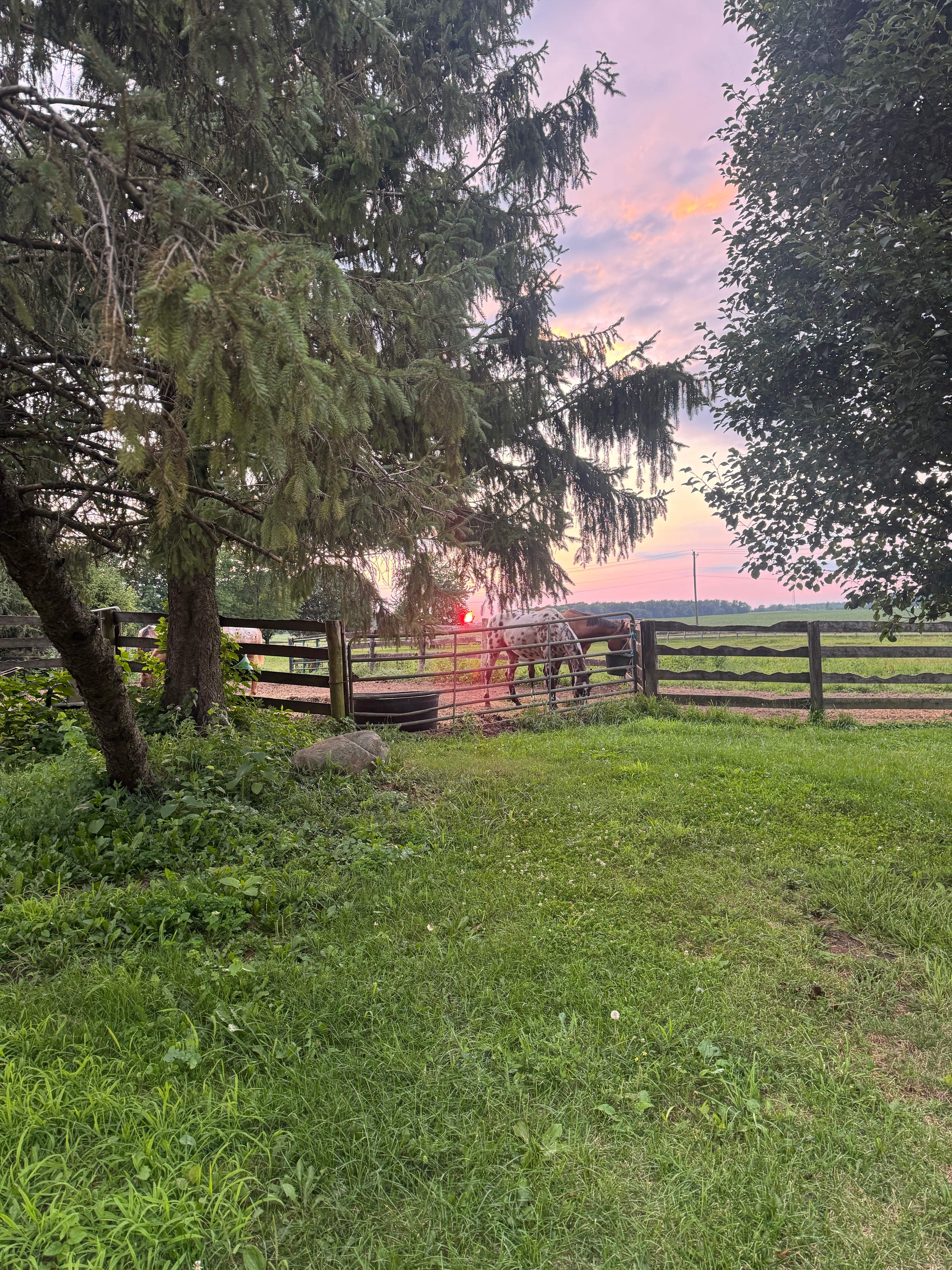 Old Oak Farm