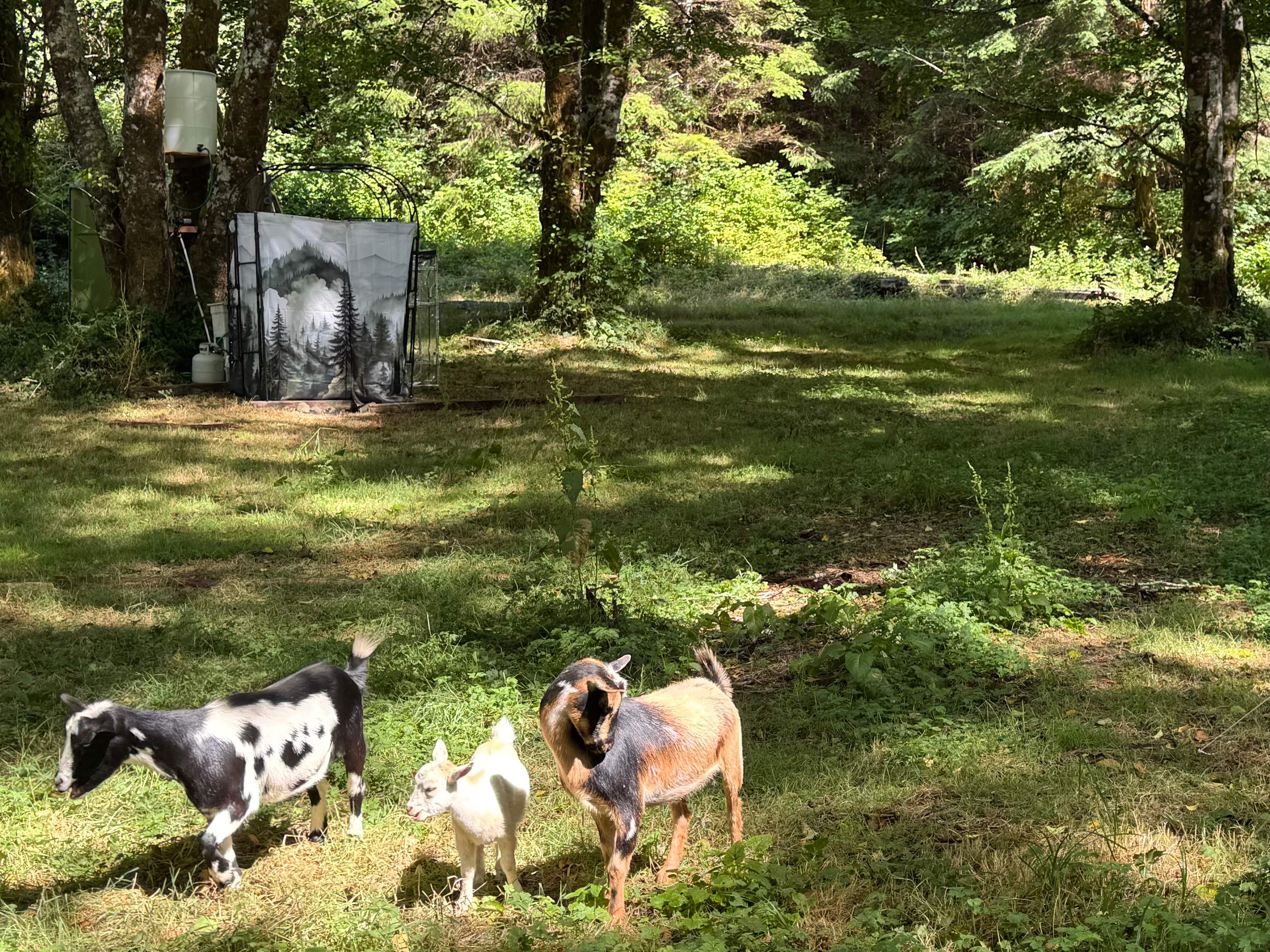 The managers standing by while picture of outdoor shower and camp area were taken.