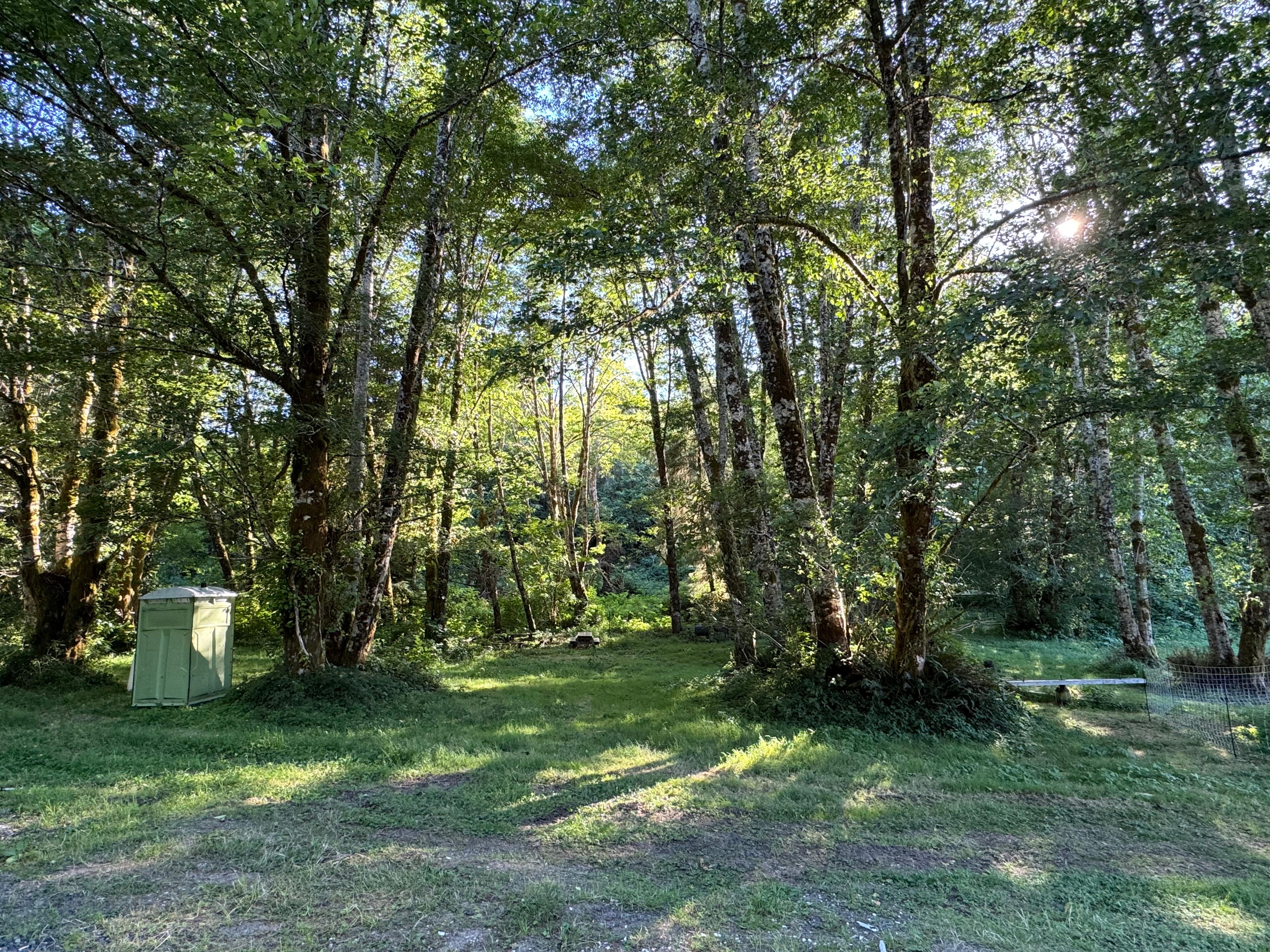 Campsite area down below driveway 