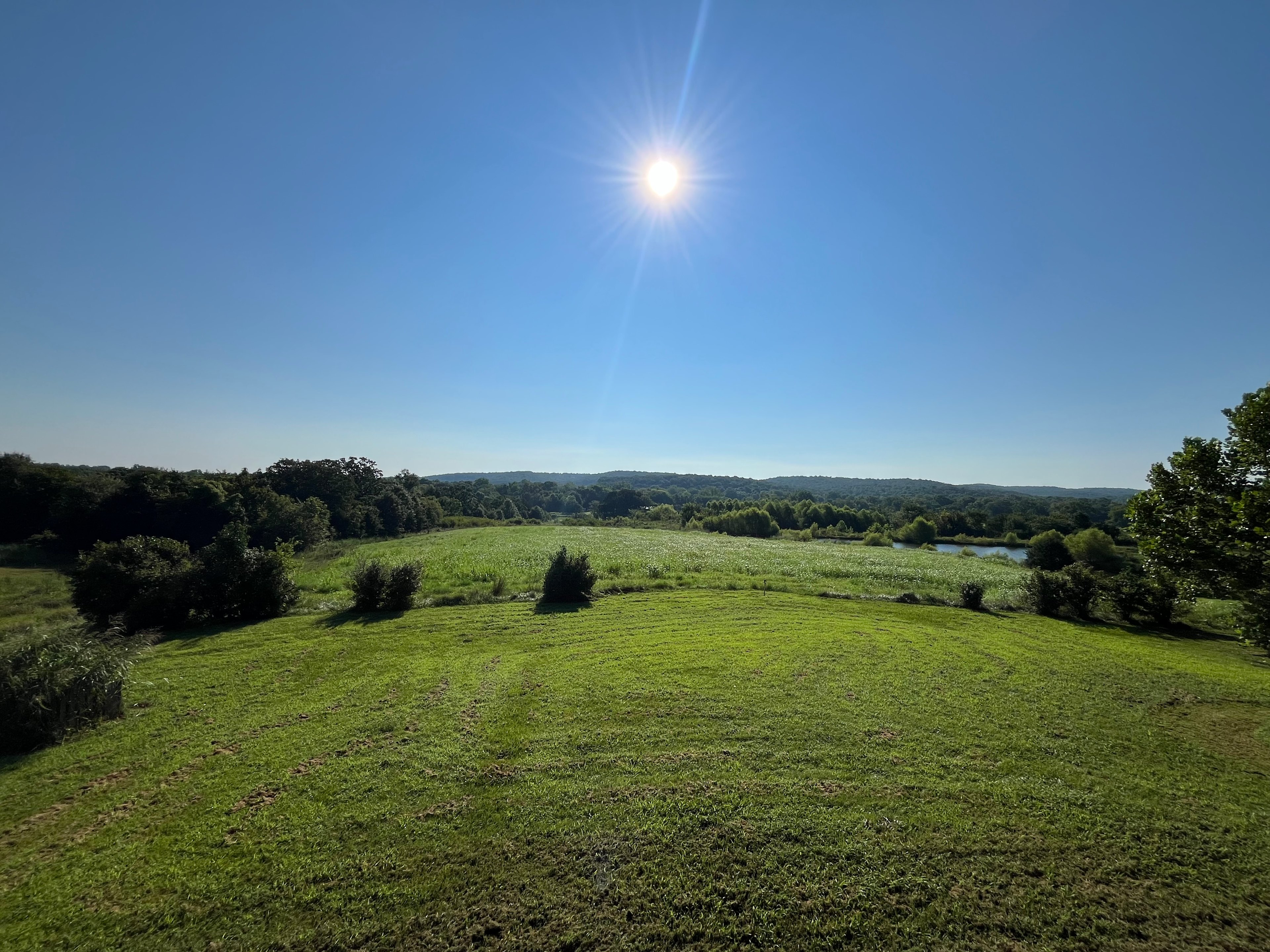 Hummingbird Haven: Private 37-Acre Retreat