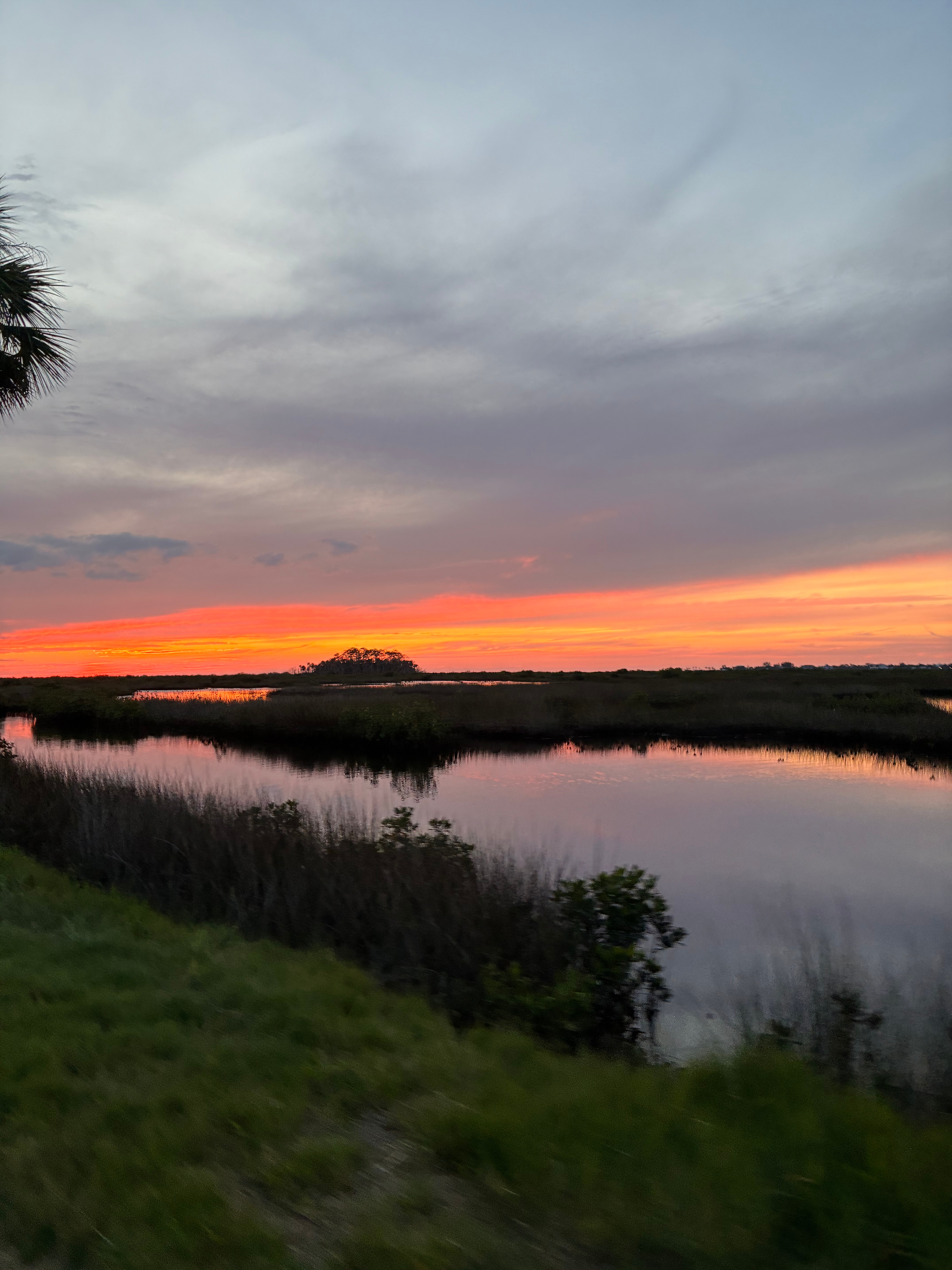 Weeki wachee hills treasure