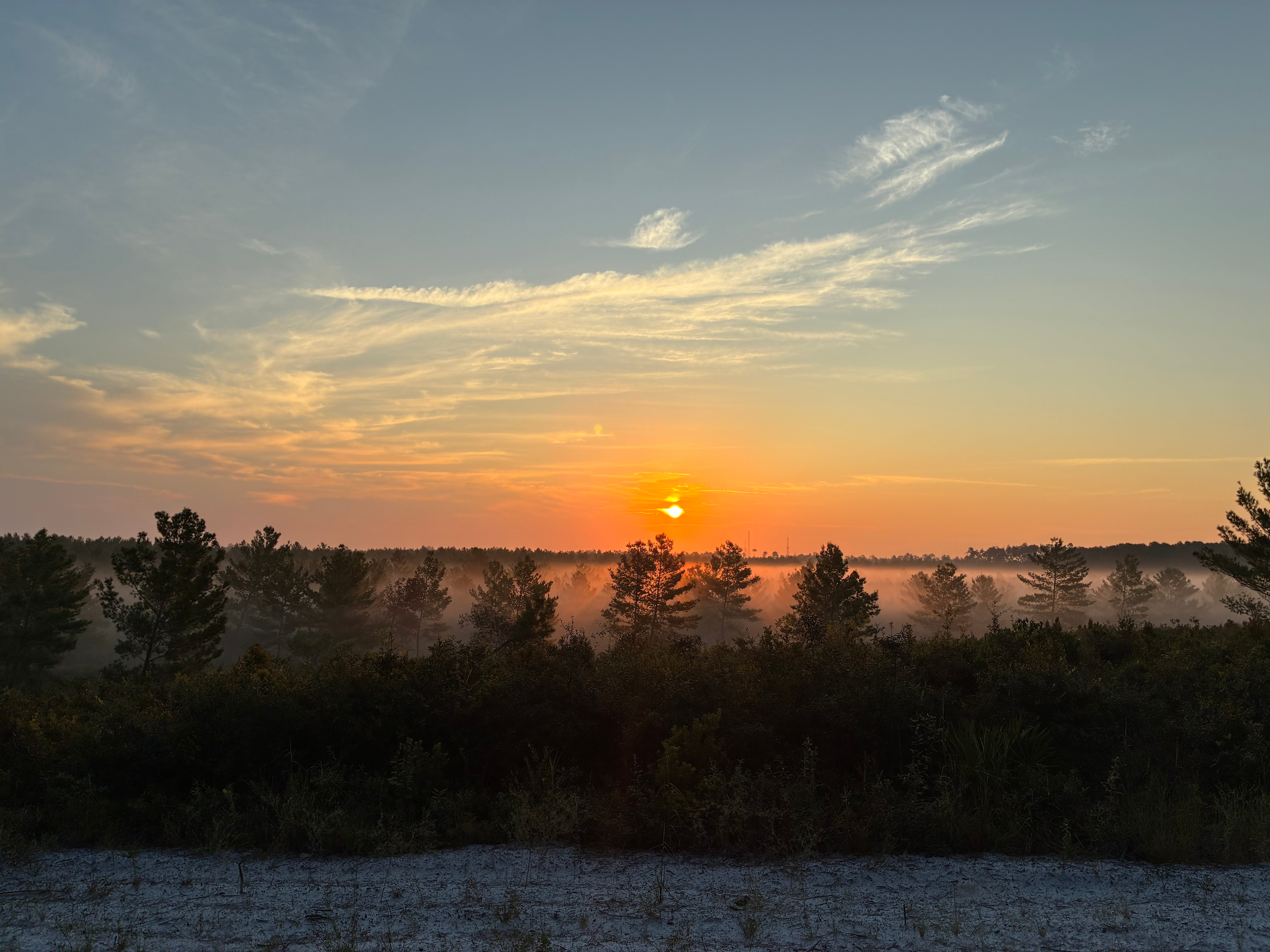 Weeki Wachee Hills Treasure