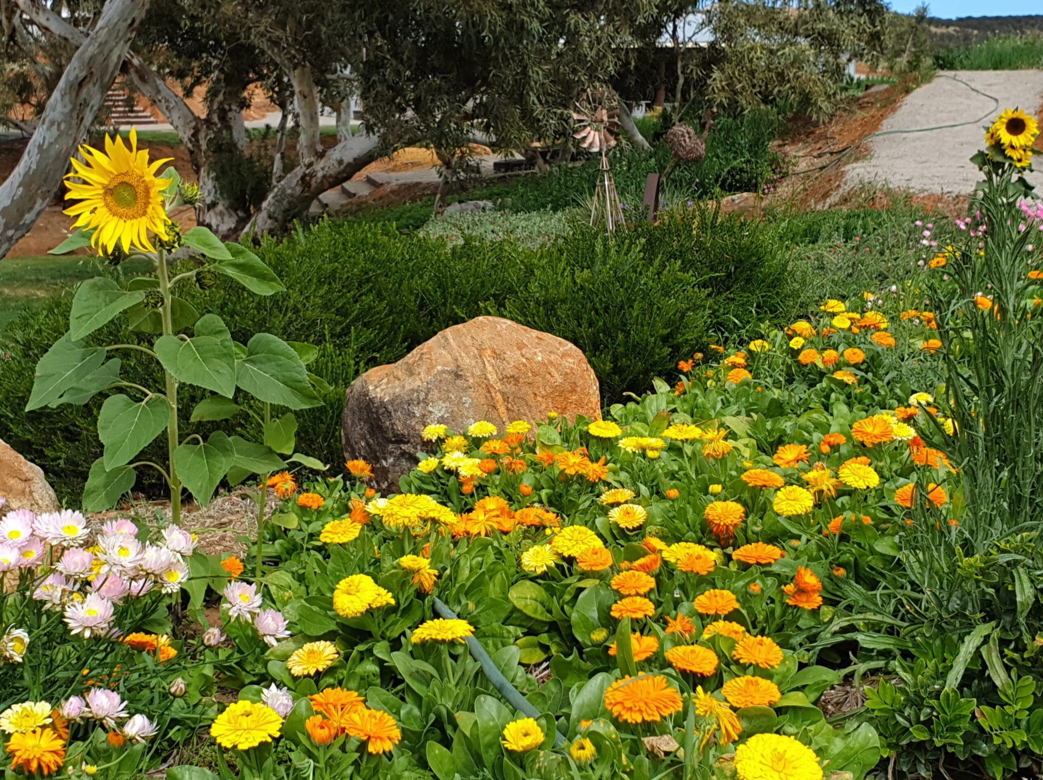 Emu Creek Gardens