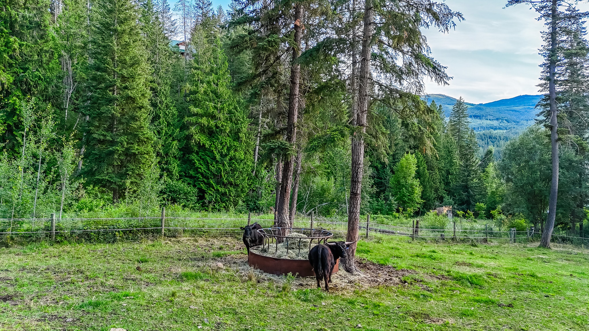 Salmon Valley Guest Ranch
