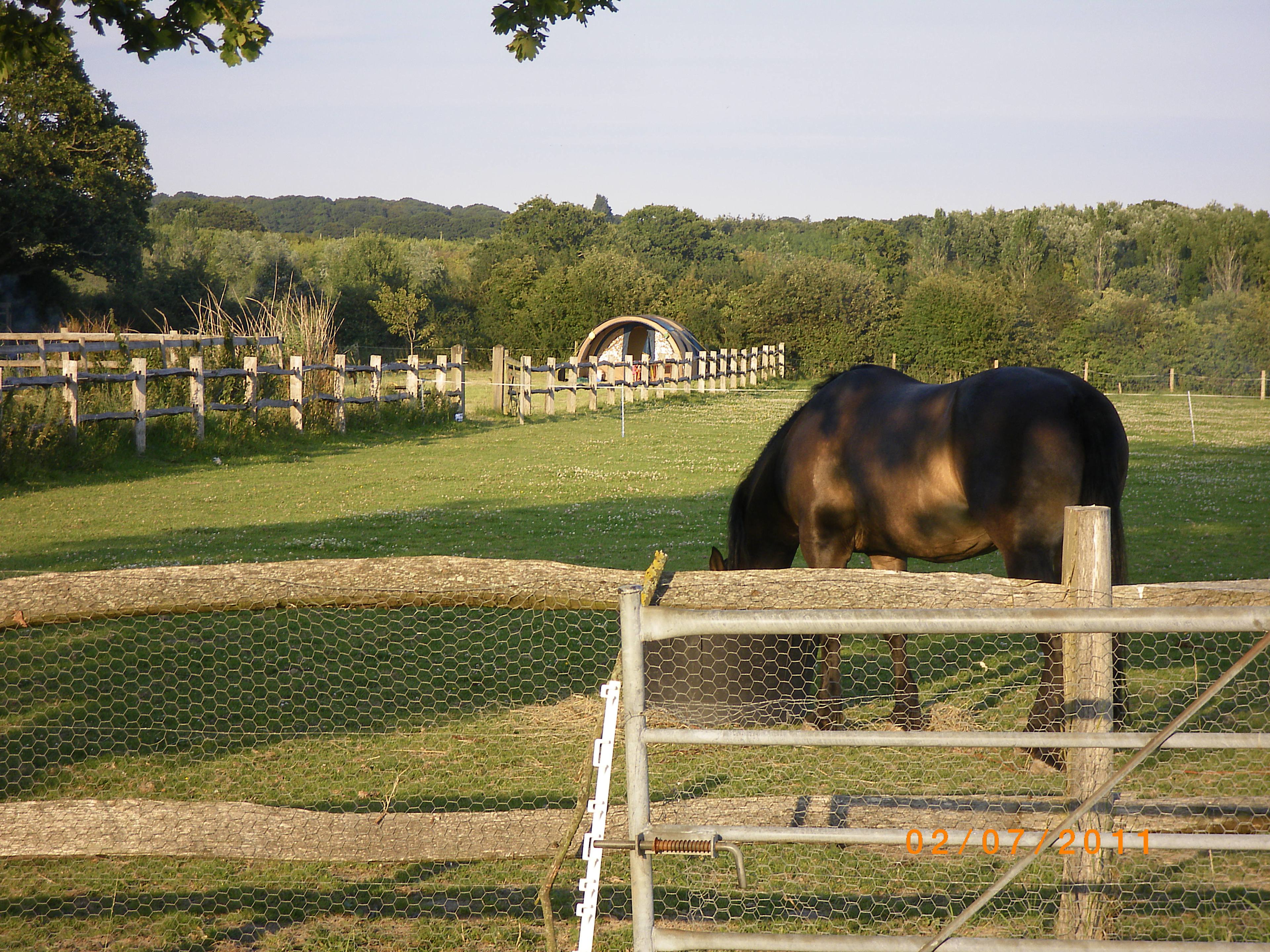 Oakfield Farm at Golden Cross