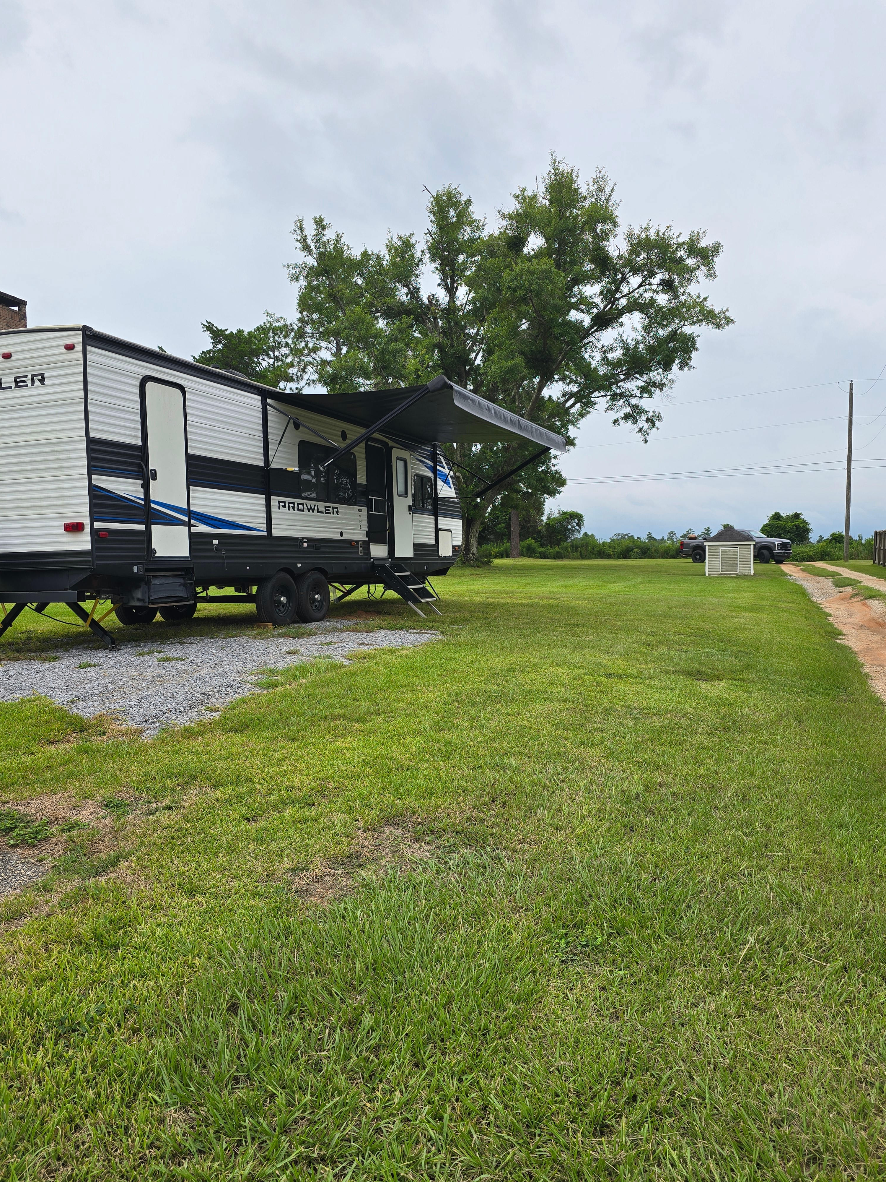 Dragon Fly Camp