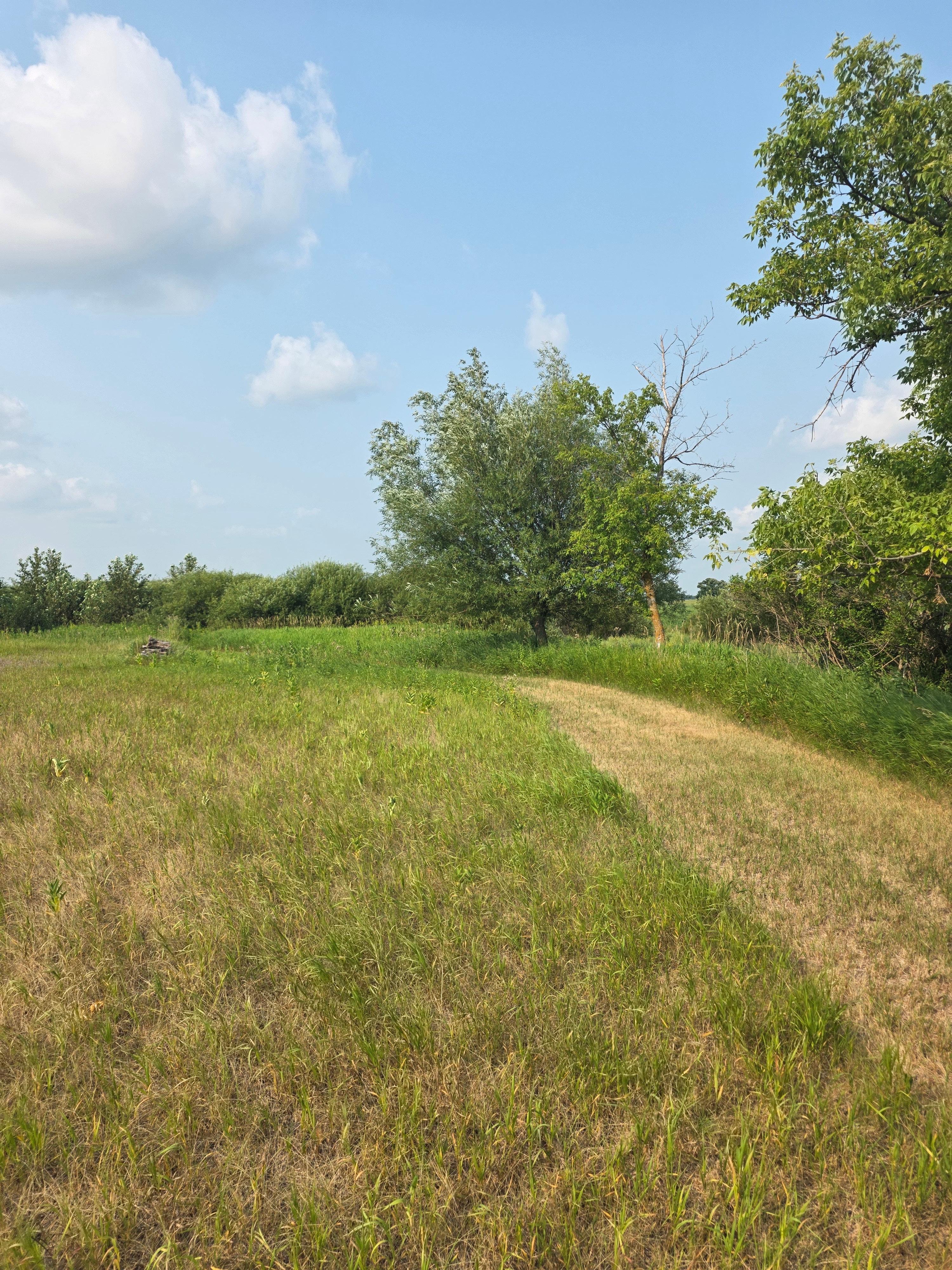 Native Prairie Buffalo Site