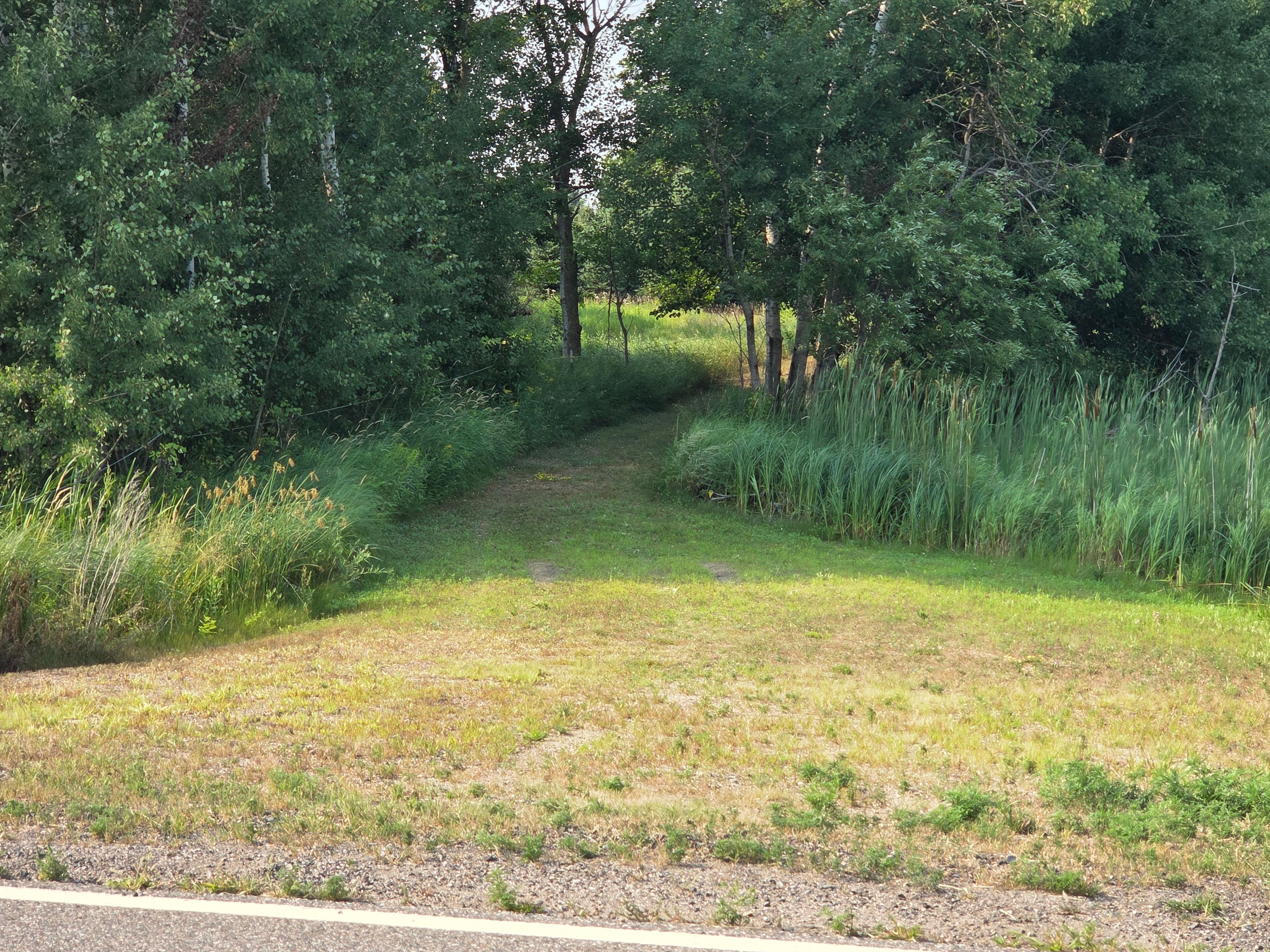 Native Prairie Buffalo Site
