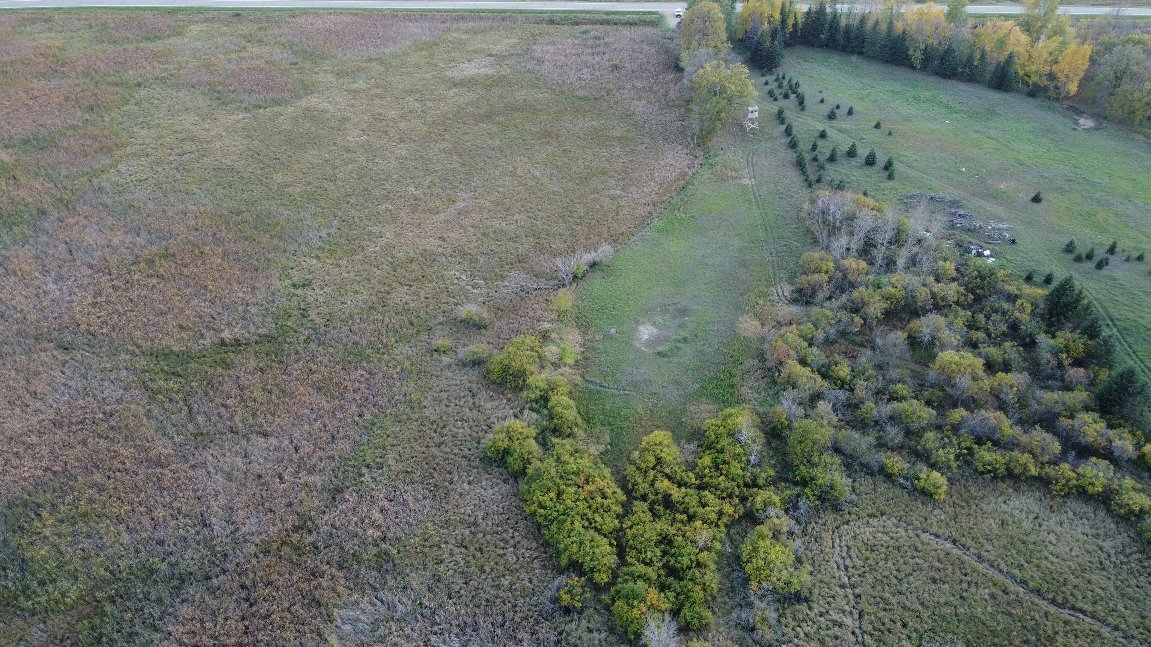 Native prairie buffalo site