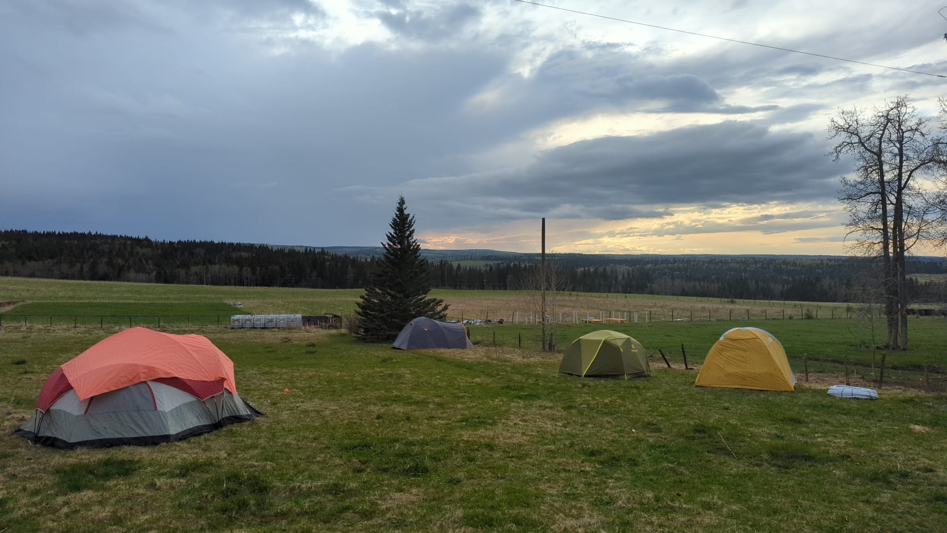 O Camp