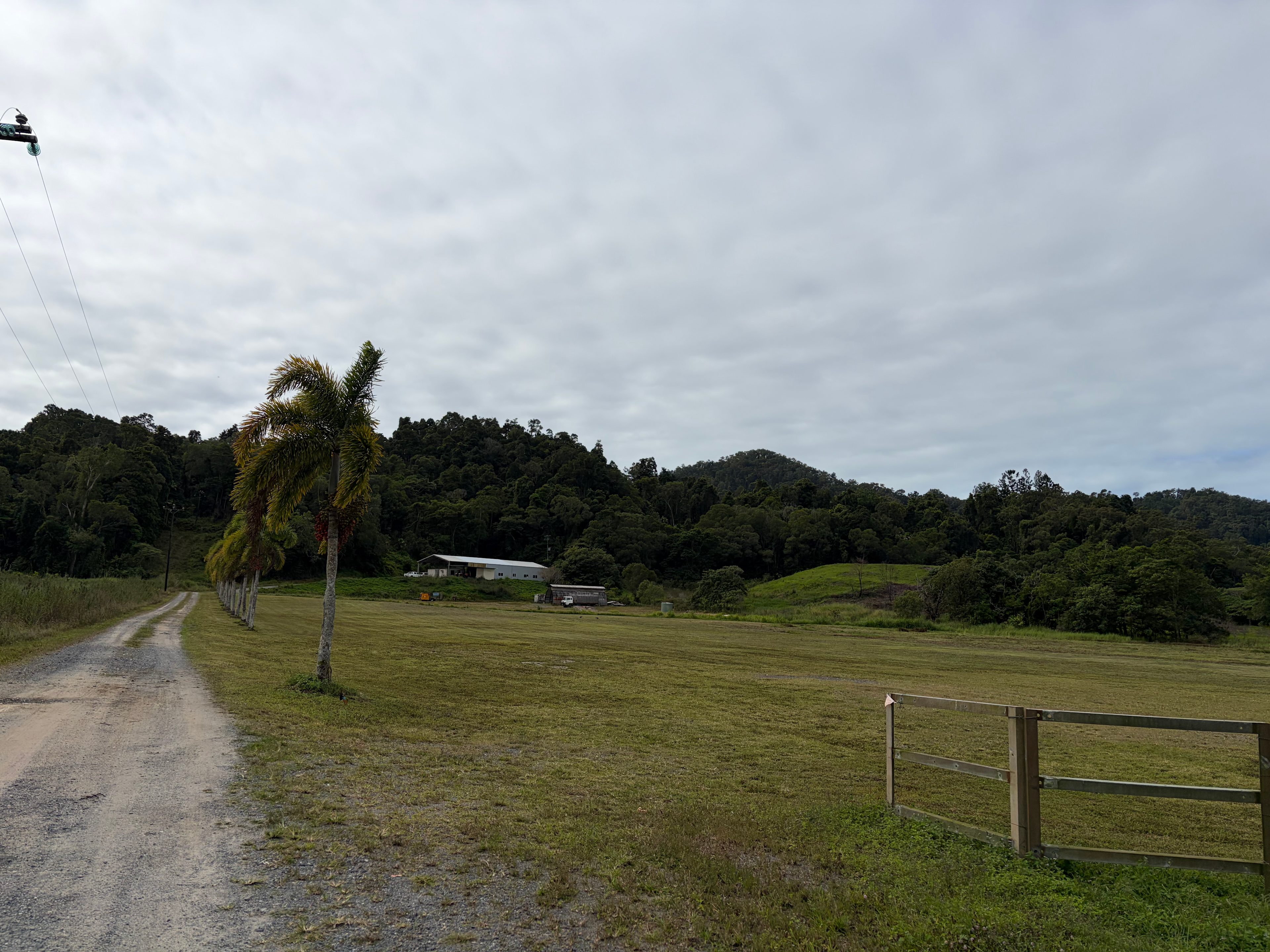 The Paddock Estate