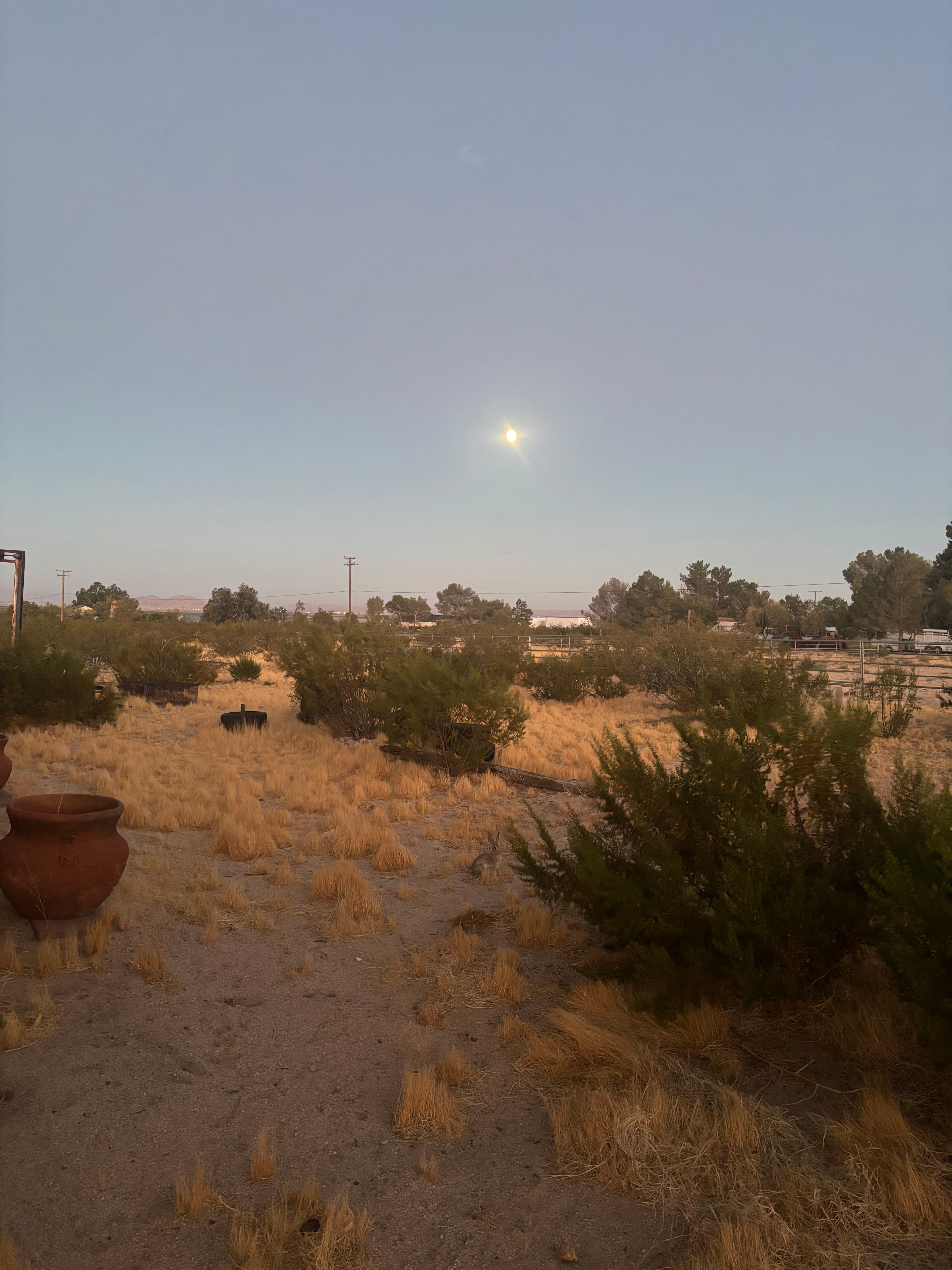 Salt Cedar Ranch RV Retreat