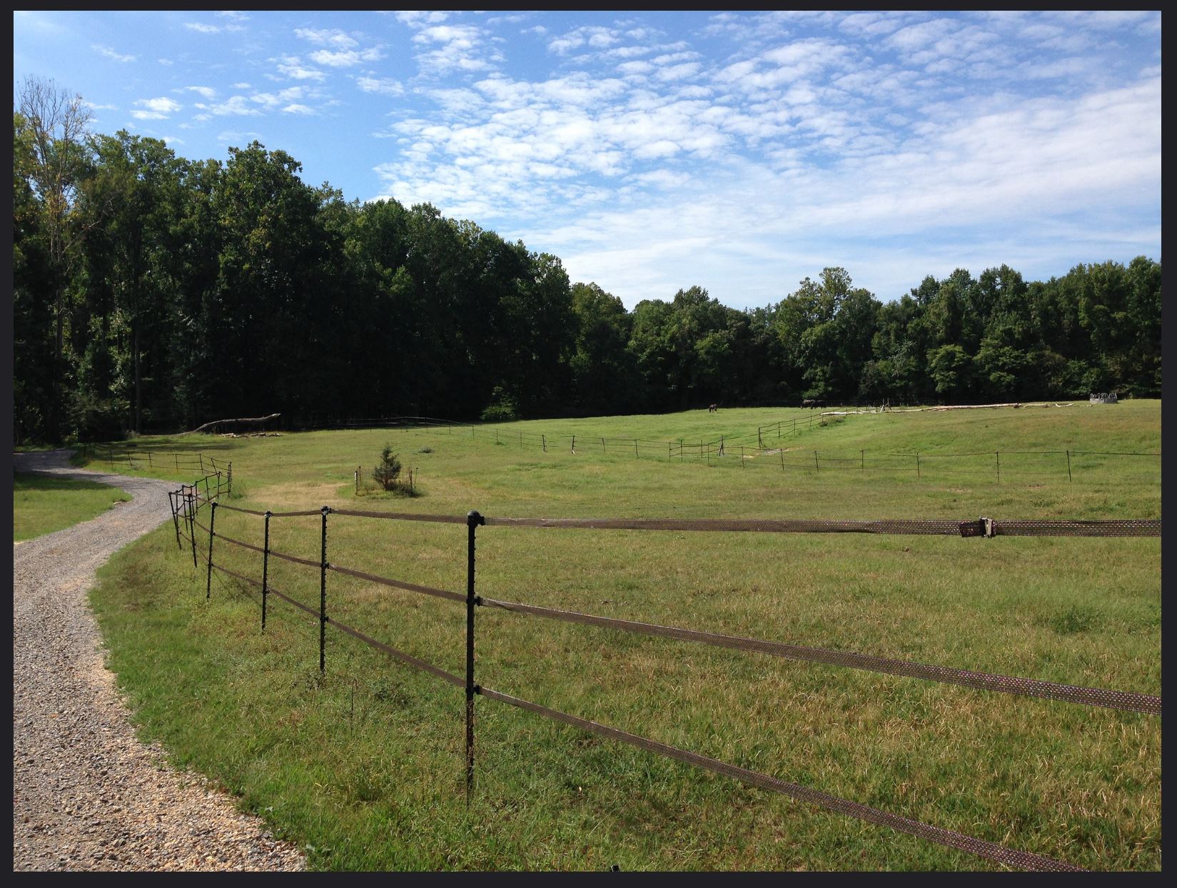 Orchard Creek Farm