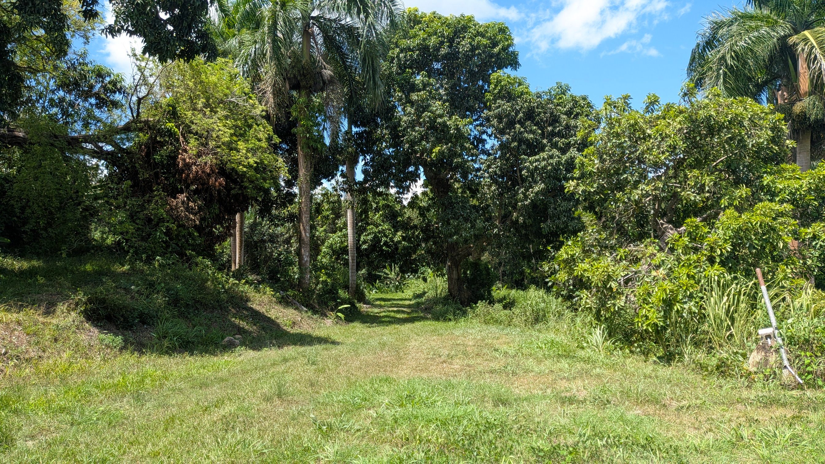 Nalex Campground