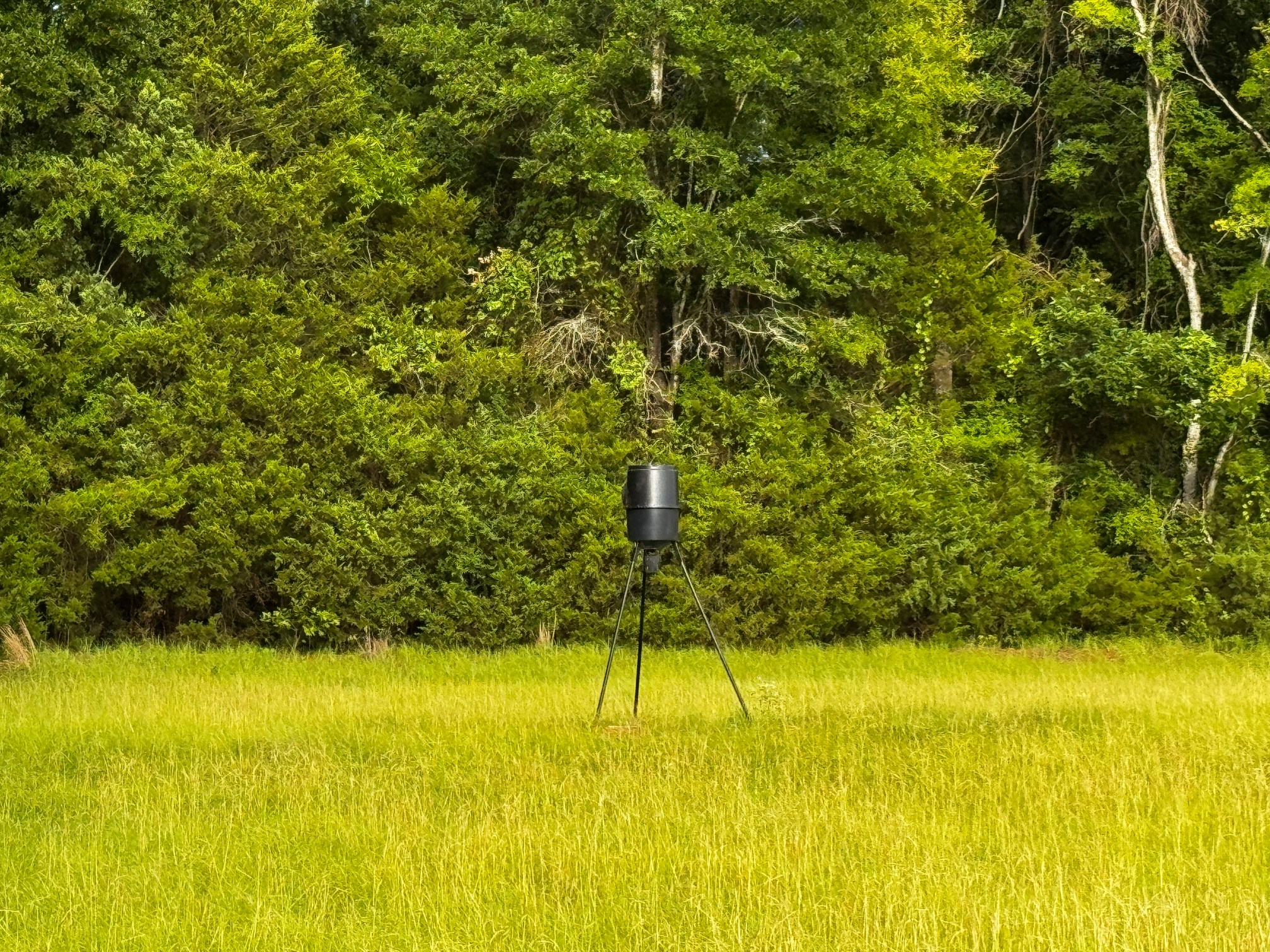 Holifield Nature Preserve