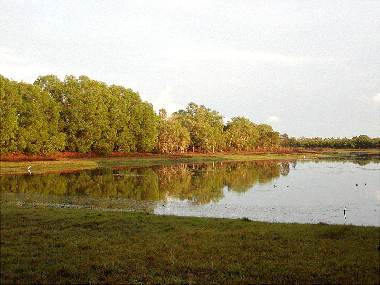 Knuckey Lagoon Bush Camp