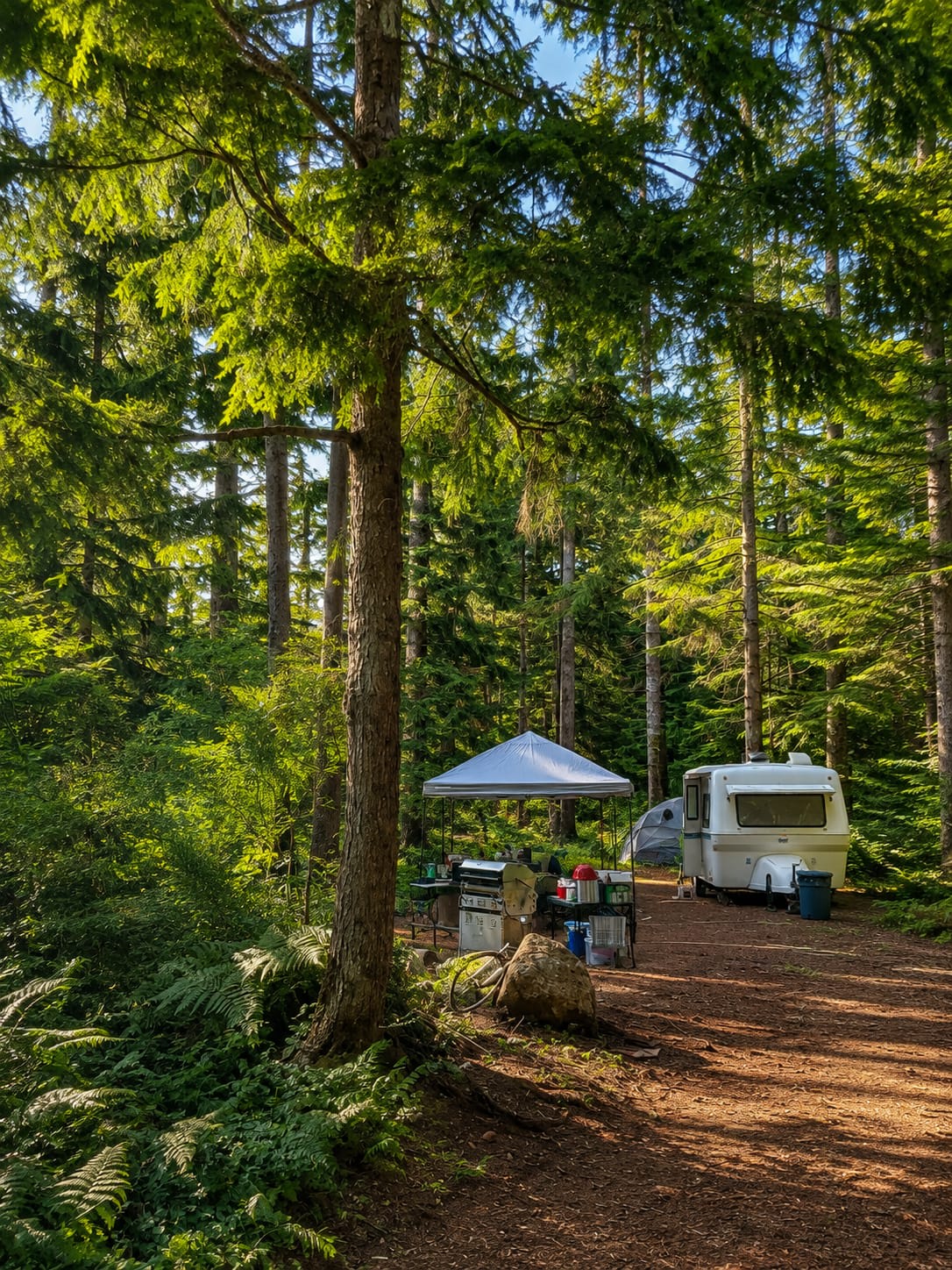 Wake up surrounded by cedar trees, birdsong, and fresh coastal air. Forest Nook is a quiet place to slow down, unwind, and enjoy a little more space between you and the rest of the world.
