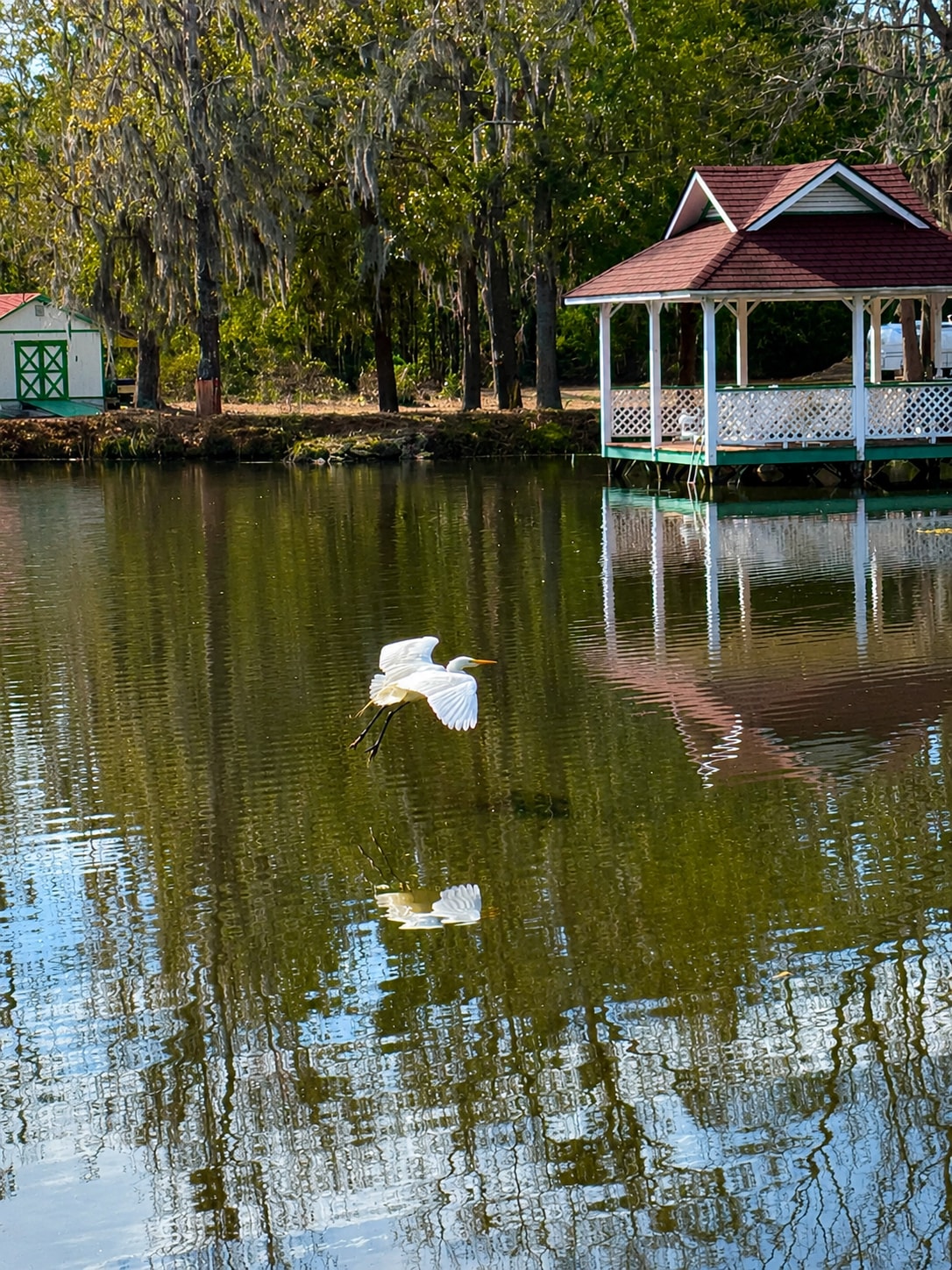 Take a peaceful walk around the pond, relax on the covered dock, and enjoy sharing the view with our resident ducks and the graceful egrets that often stop by.