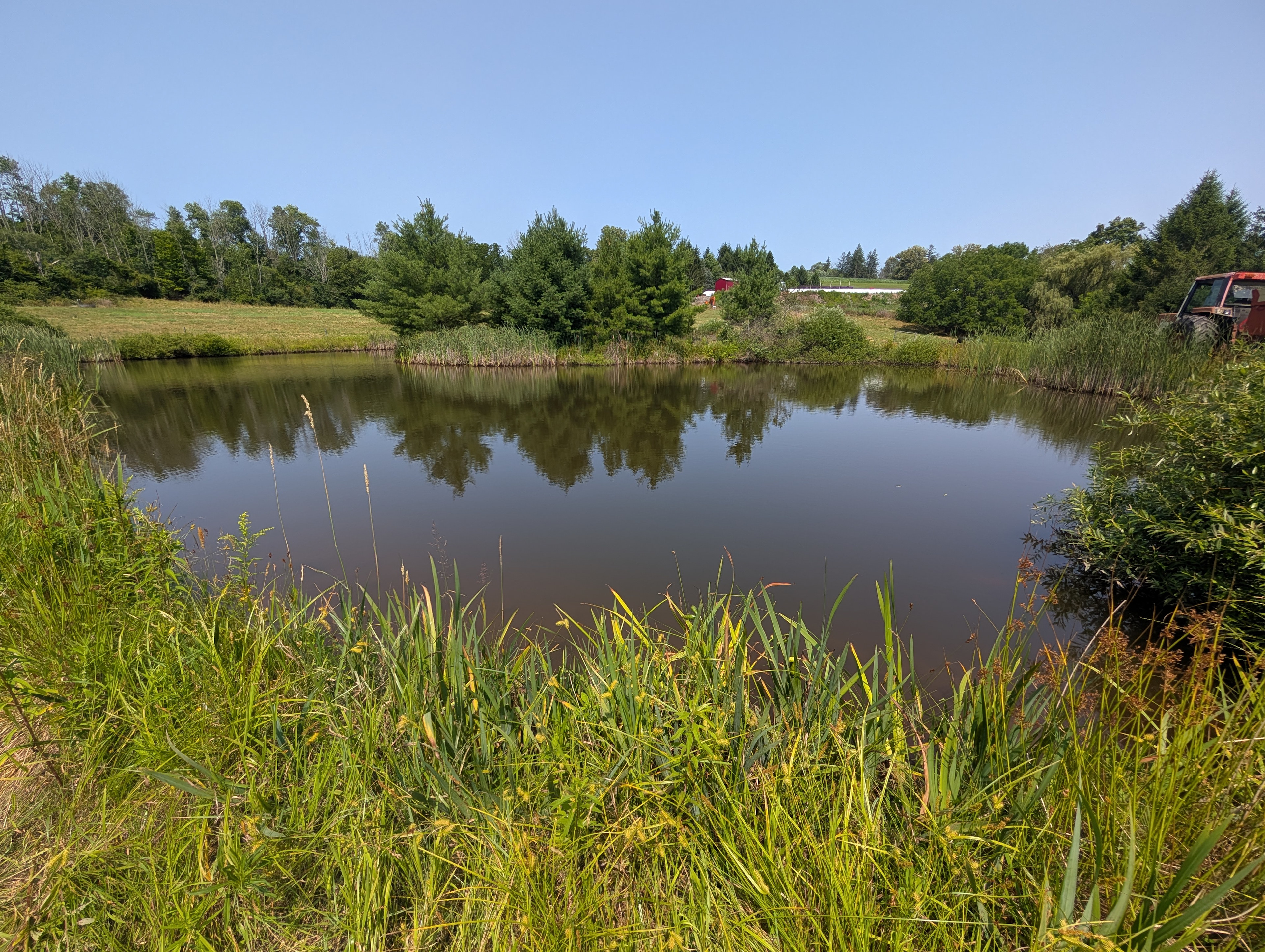 Lantzsch Farms