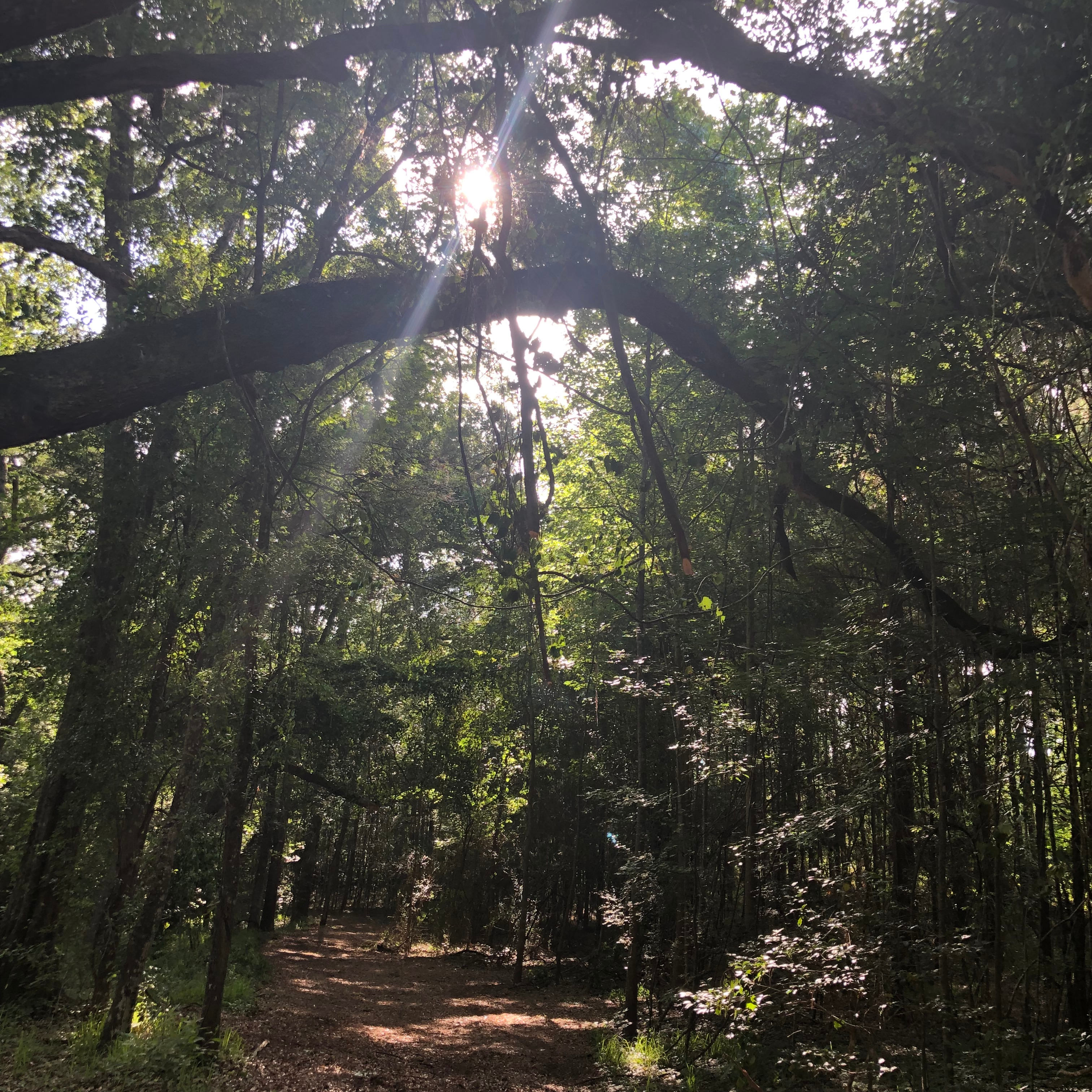 Sacred Land Camping Grounds