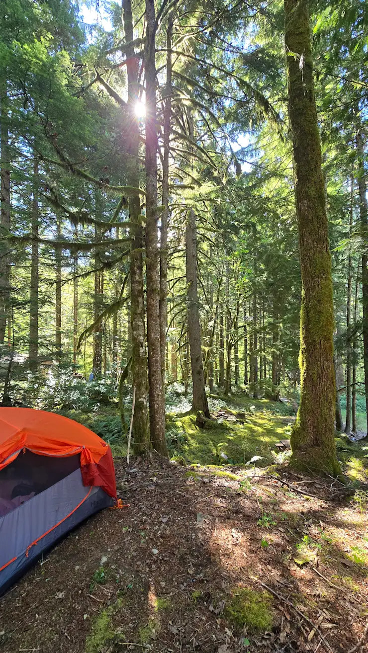 Azila's Mossy Grove - North Cascades Basecamp