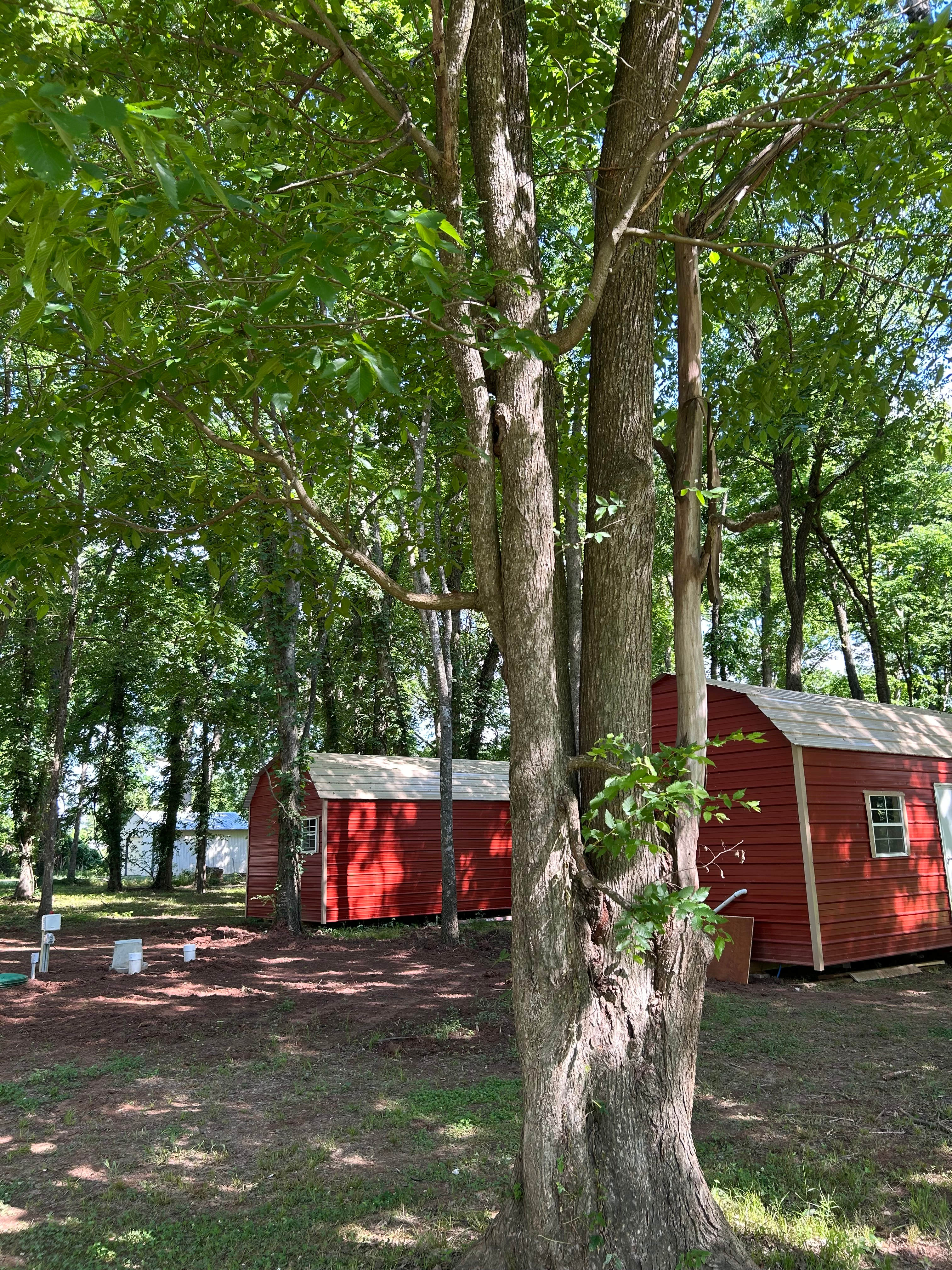Caribou Cabin