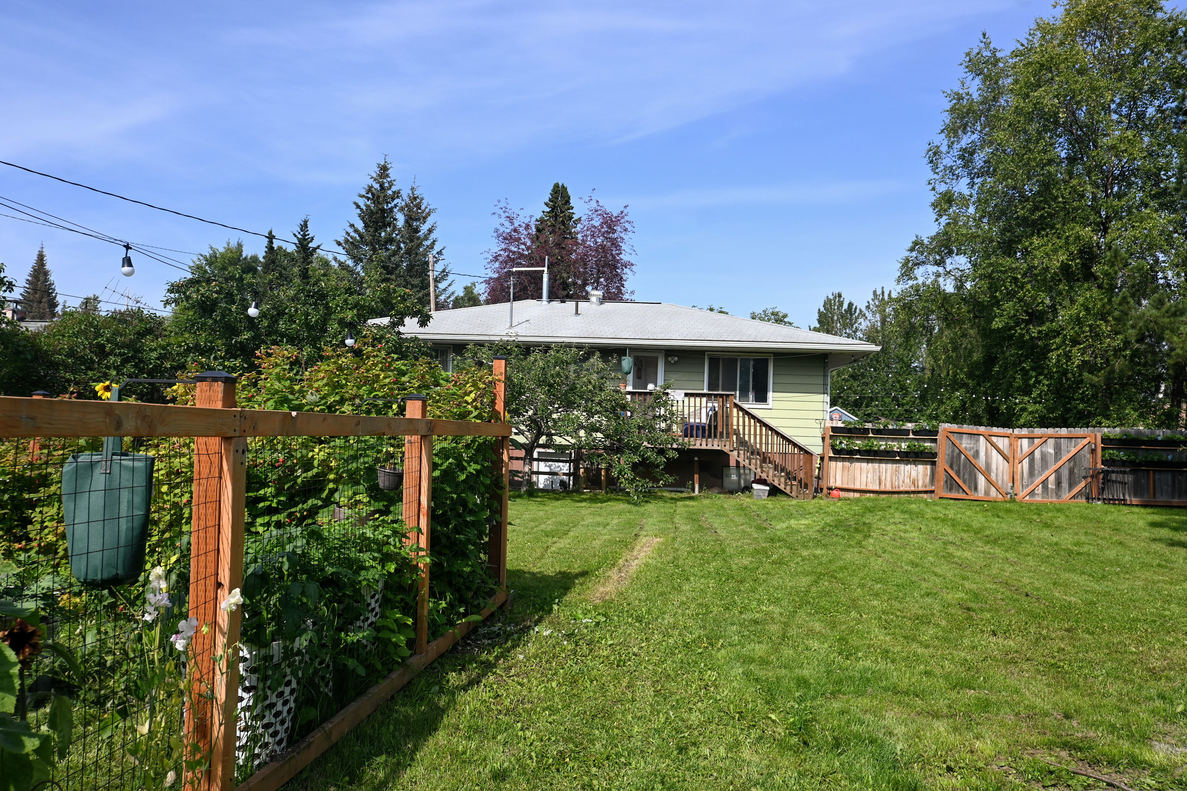 Spenard Basecamp