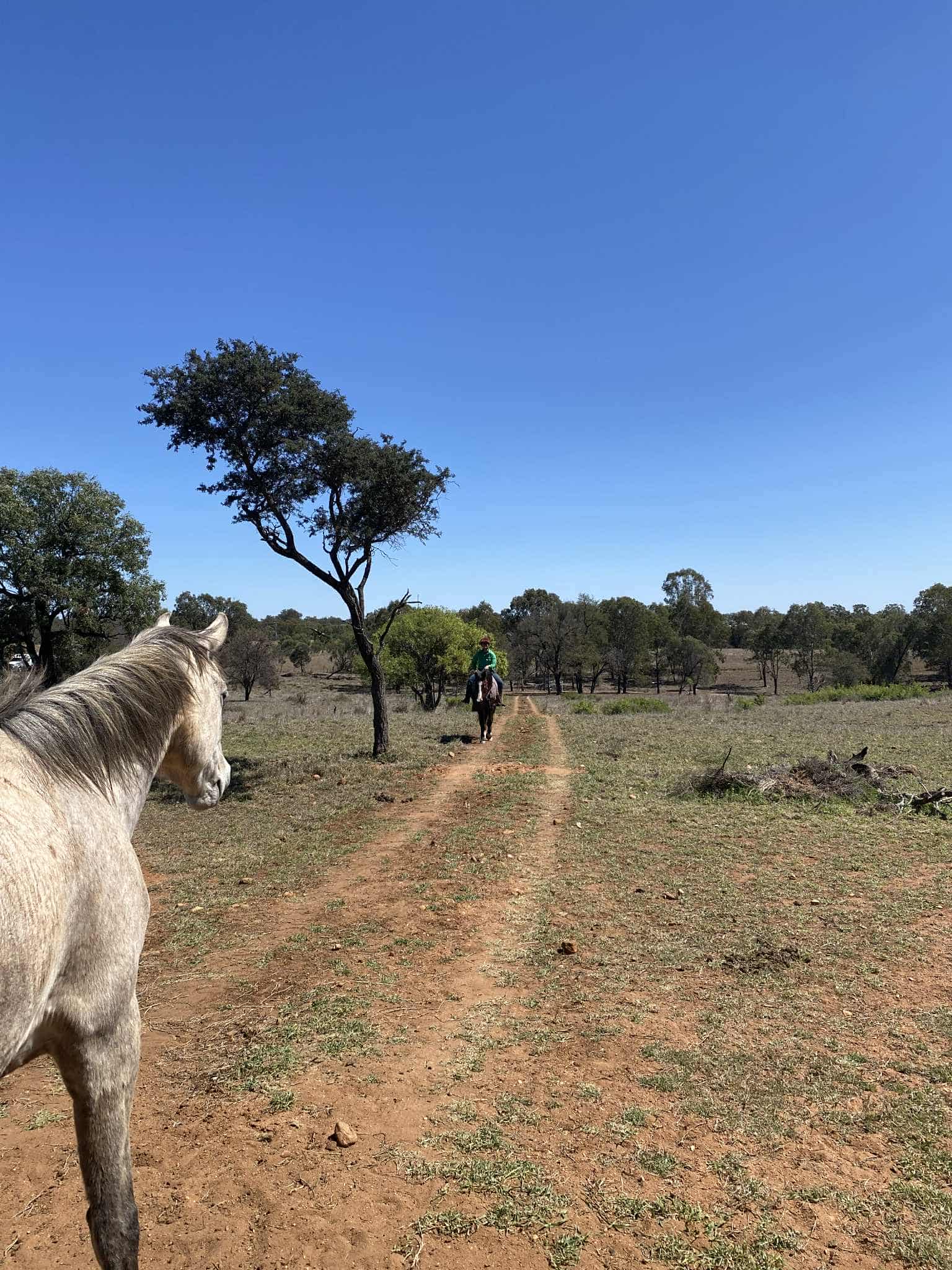Penny Pegasus FarmLife - Penny and Joe