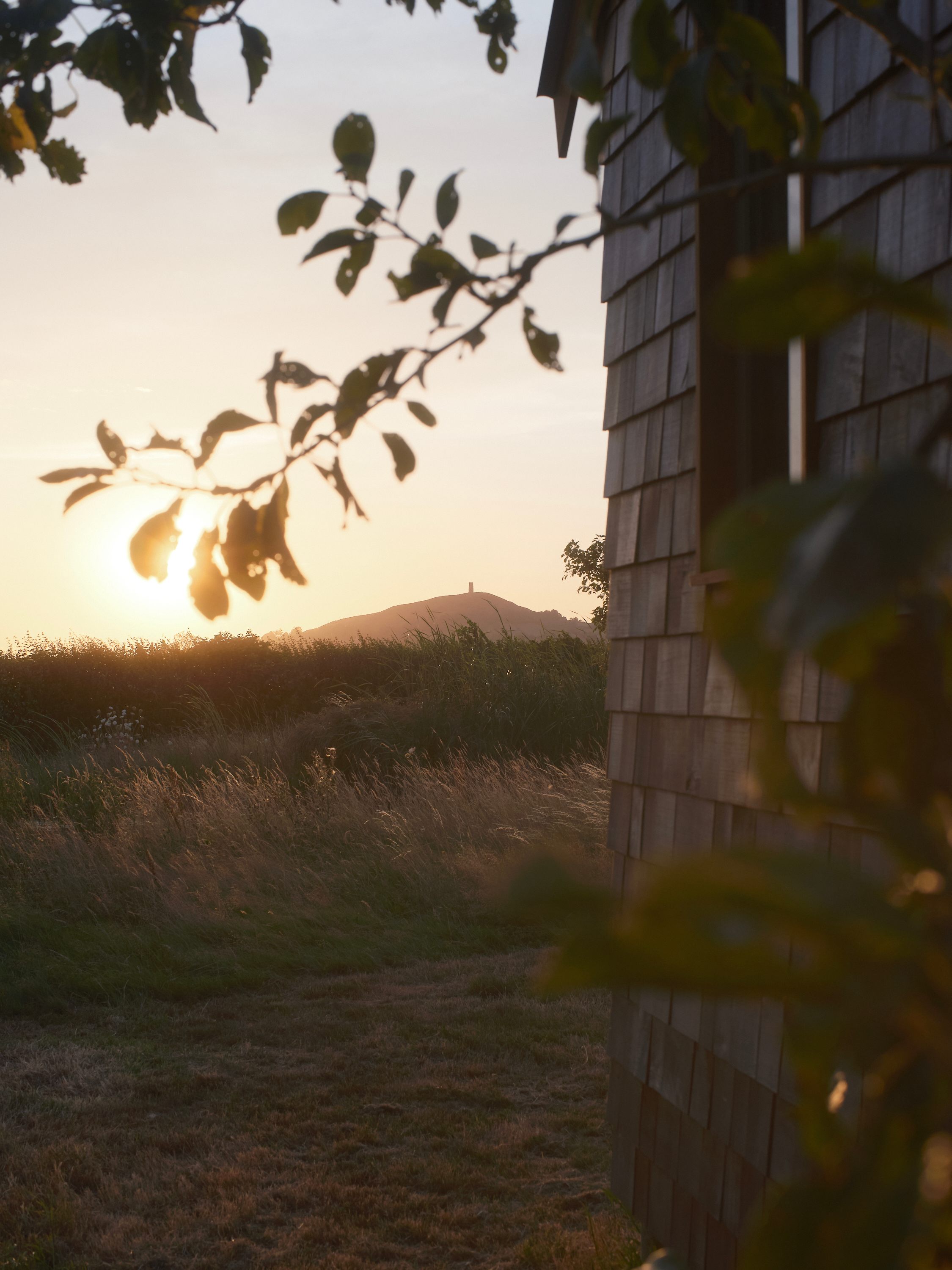 Glastonbury Wild Glamping