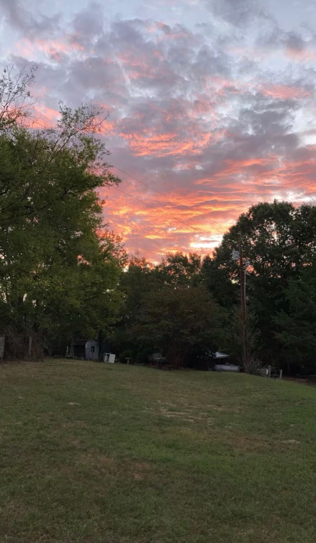 Wandering Woods Escape LLC
