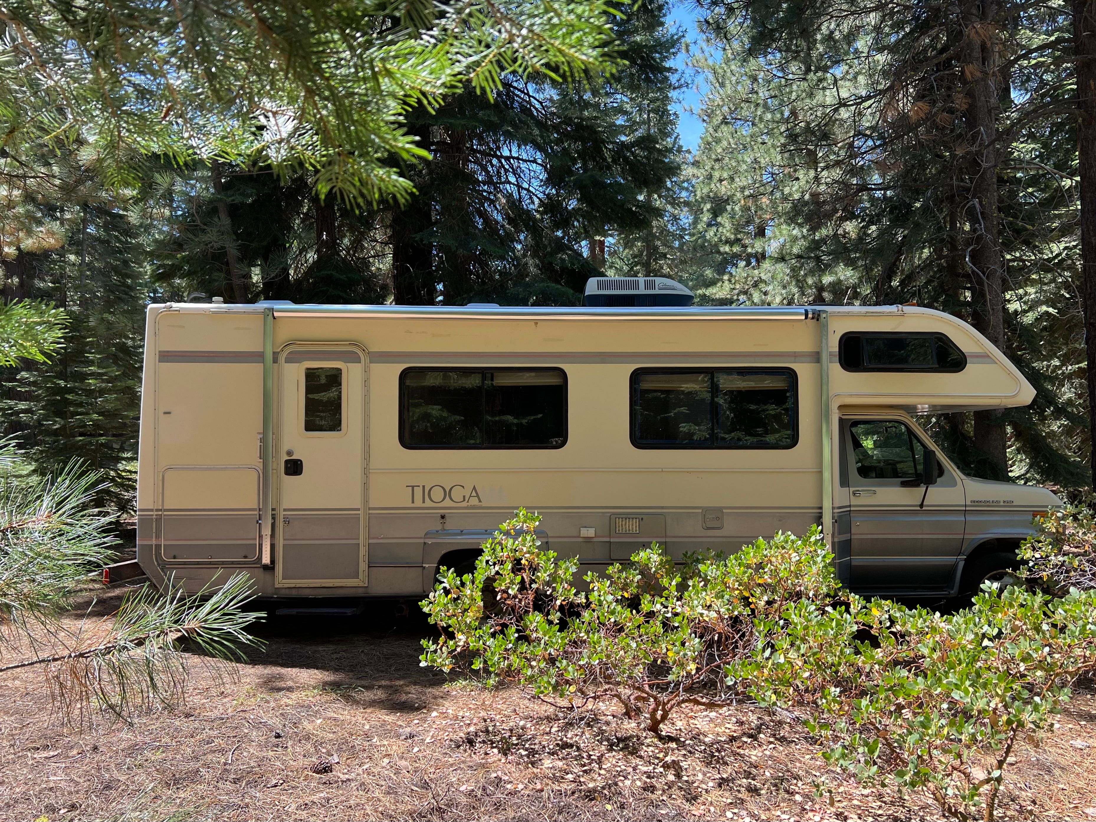 Alder Camp