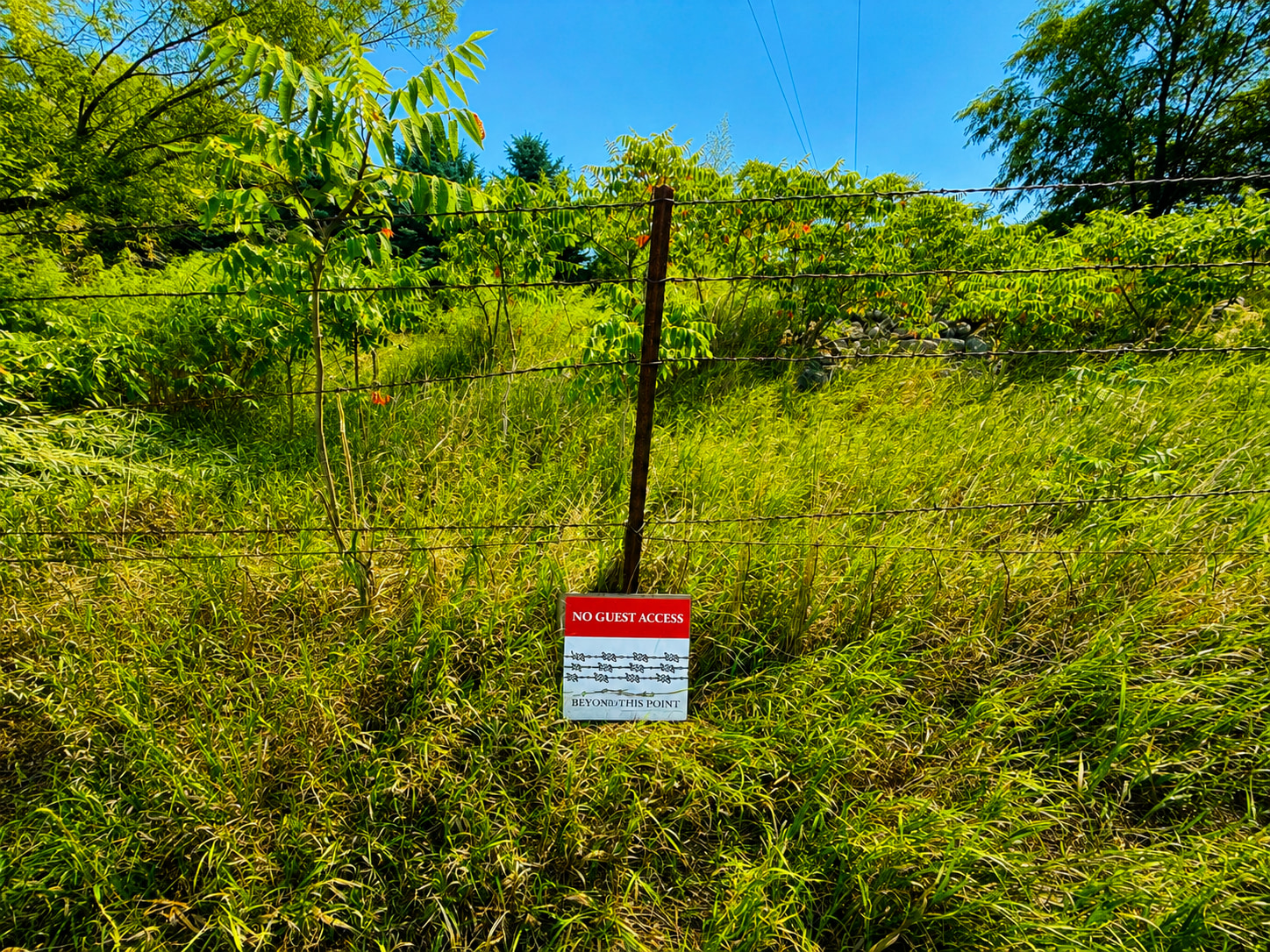 Camp Spring Valley