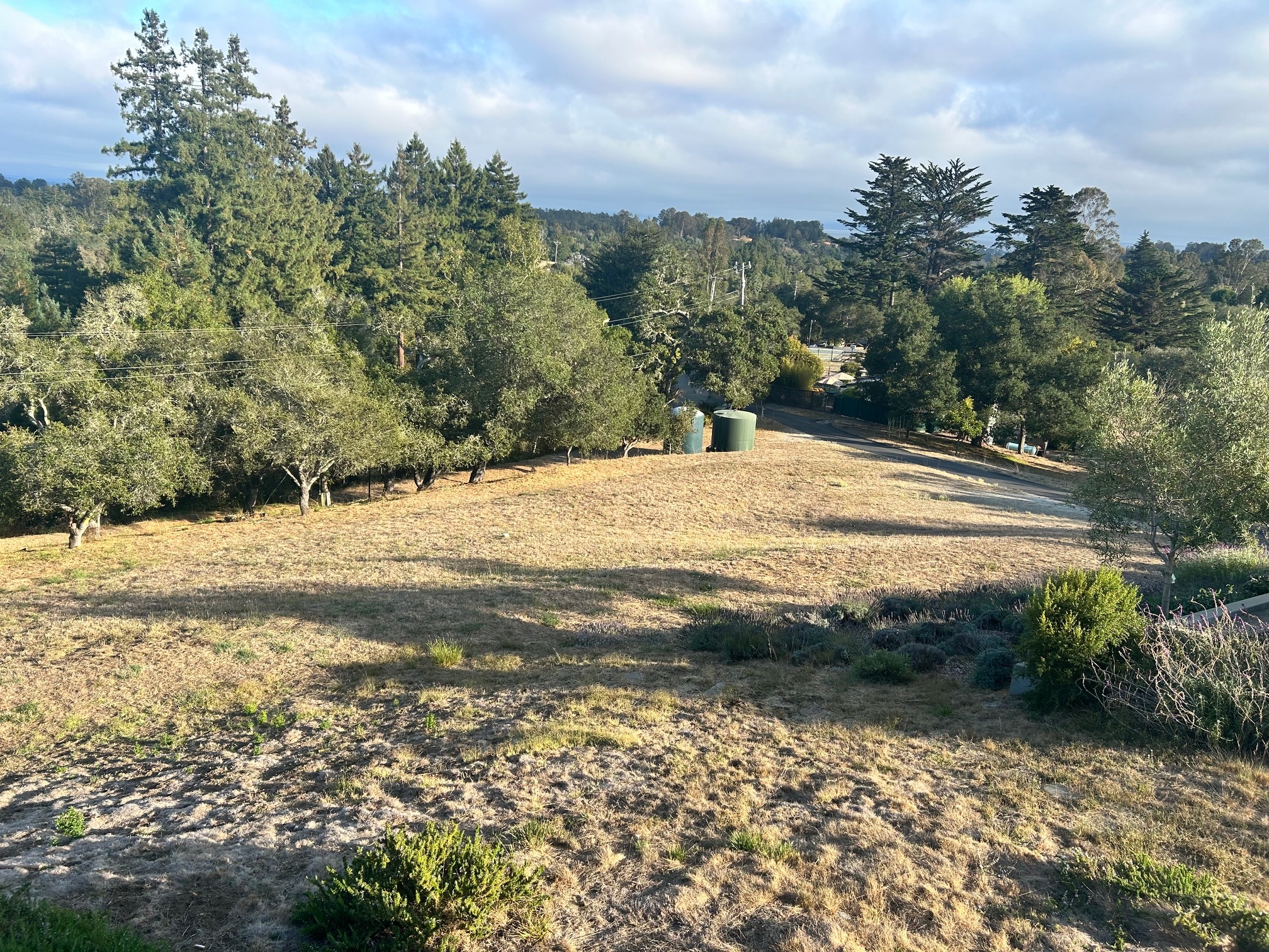 Long distance view of the property.