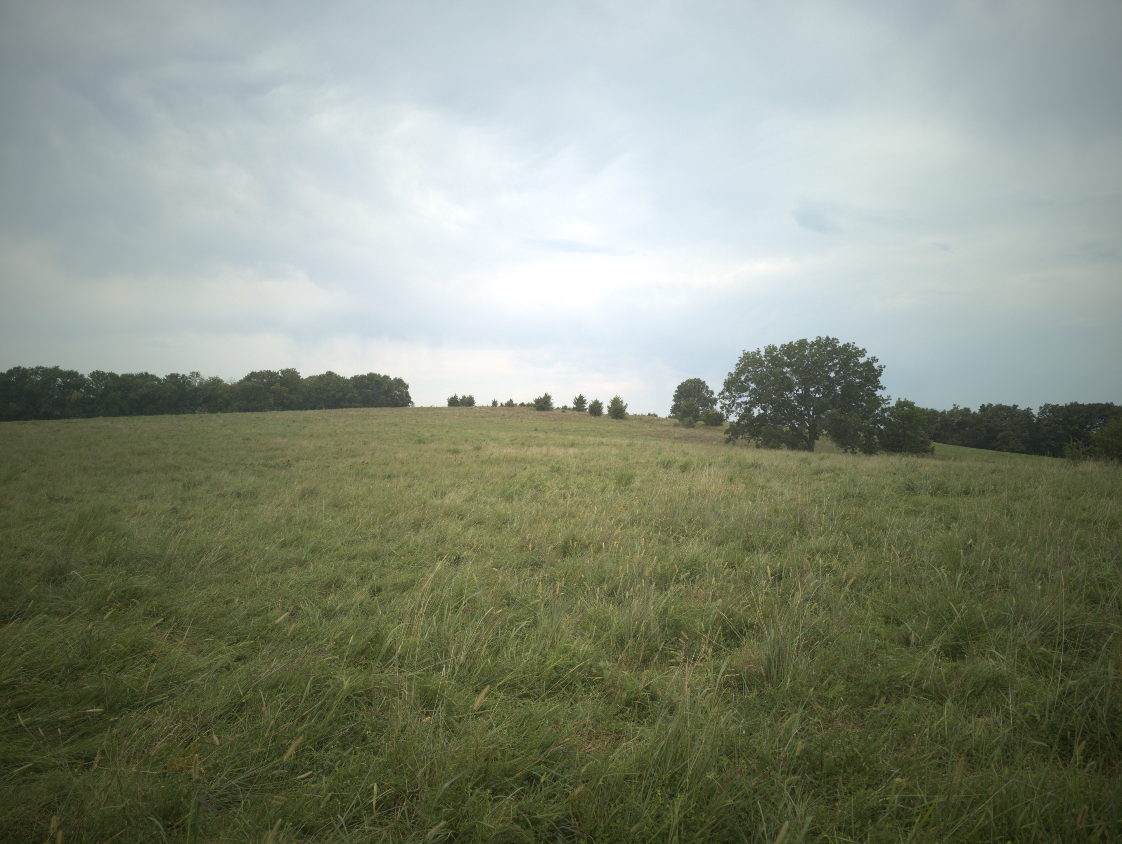 Tinker Creek Ranch