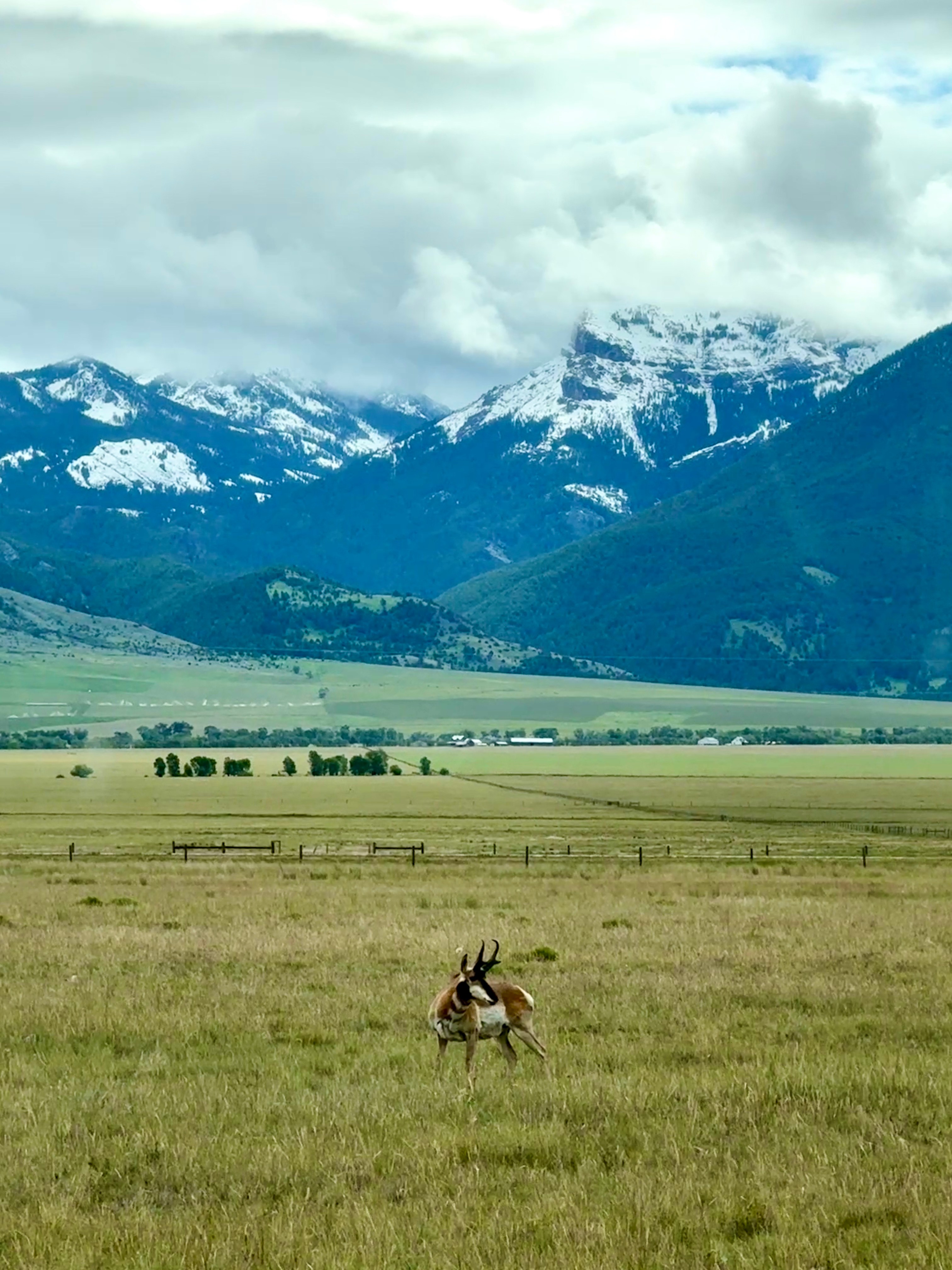 Triple H Ranch