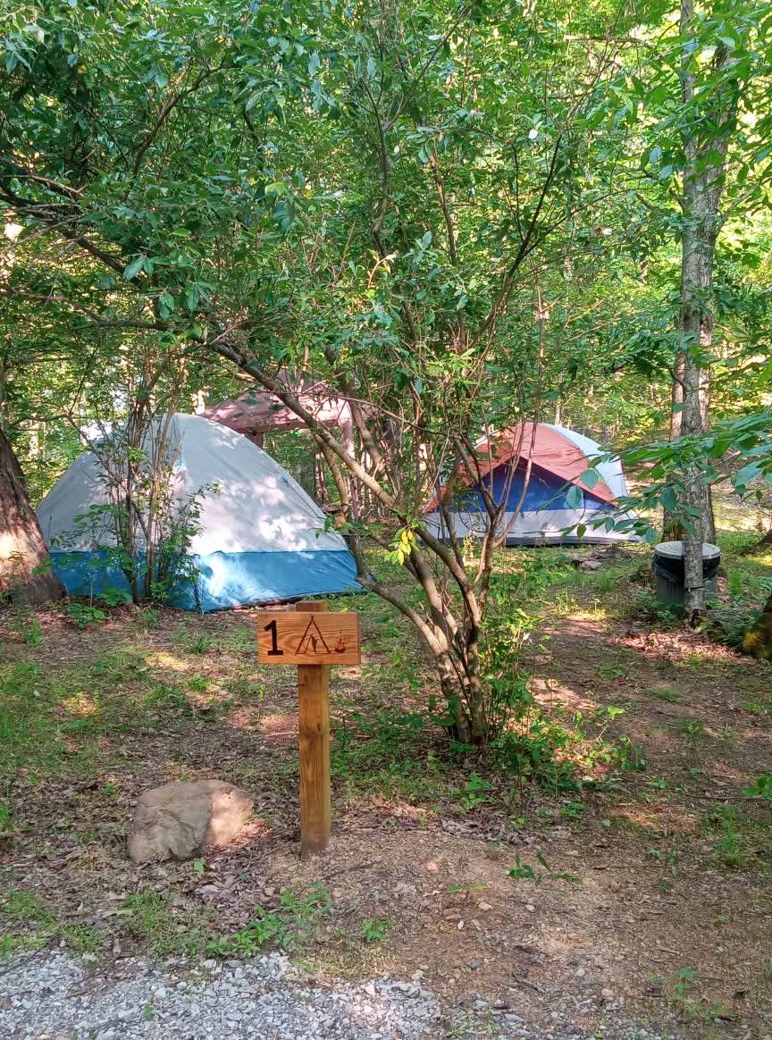 Poca Valley Cabins