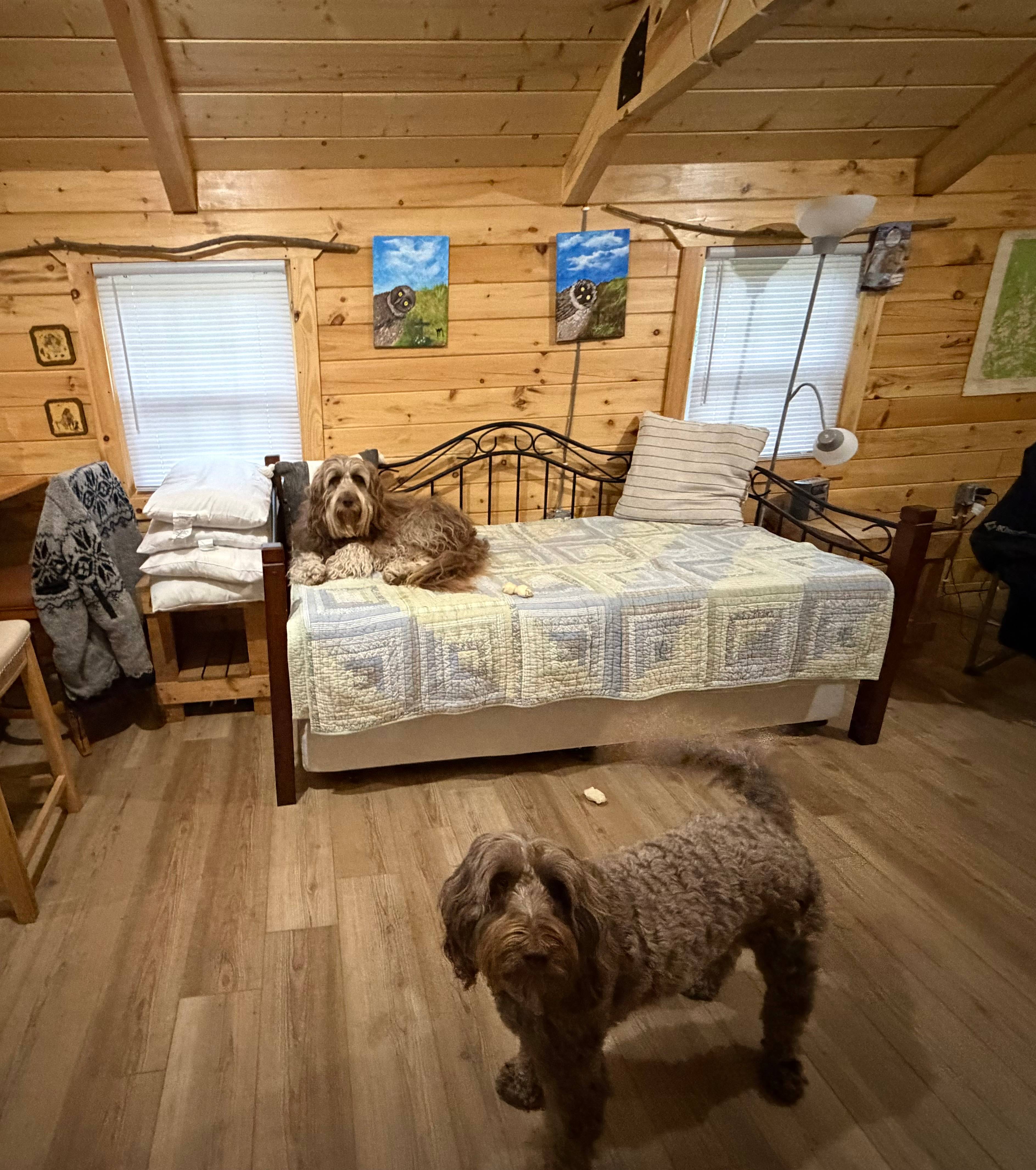 Fancy Livin’ Camp